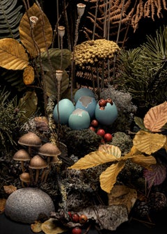 Dunkles Flora Autumn Weald in geblümtem Arrangement aus Wildblumen und Pflanzen, gerahmt