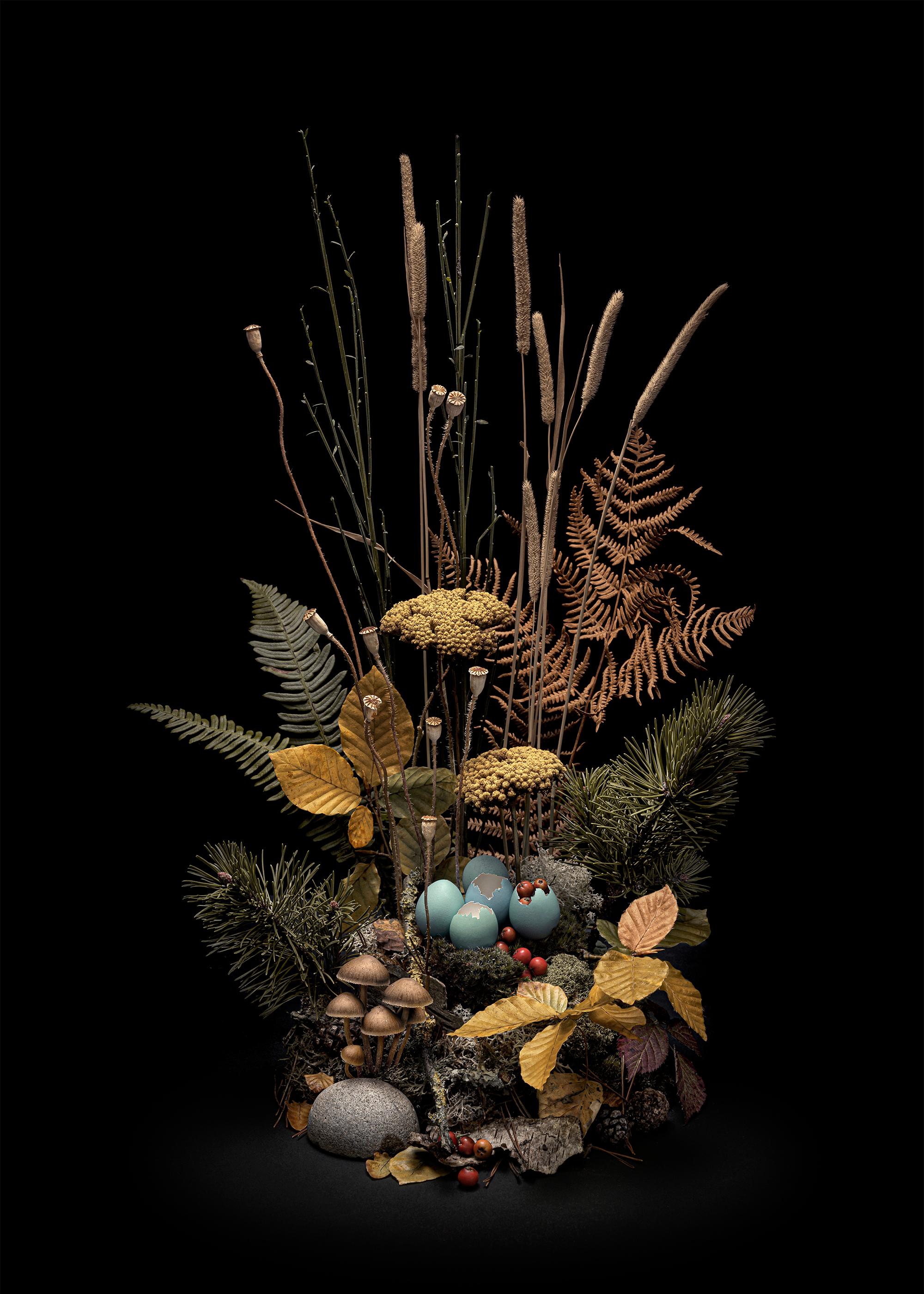 Flora Oscura Otoño Weald en Arreglo floral de flores y plantas silvestres, Enmarcado