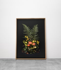 Dunkel Flora Druck Fly Agaric A Blumenarrangements x 3 Drucke Set