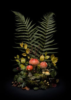 Dark Flora #7, Fly Agaric, A floral arrangements of wild mushrooms and plants