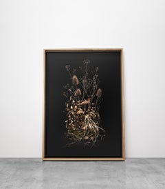 Dark Flora #8, Skeletons of the Summer, 2021 Still-life medium size photograph