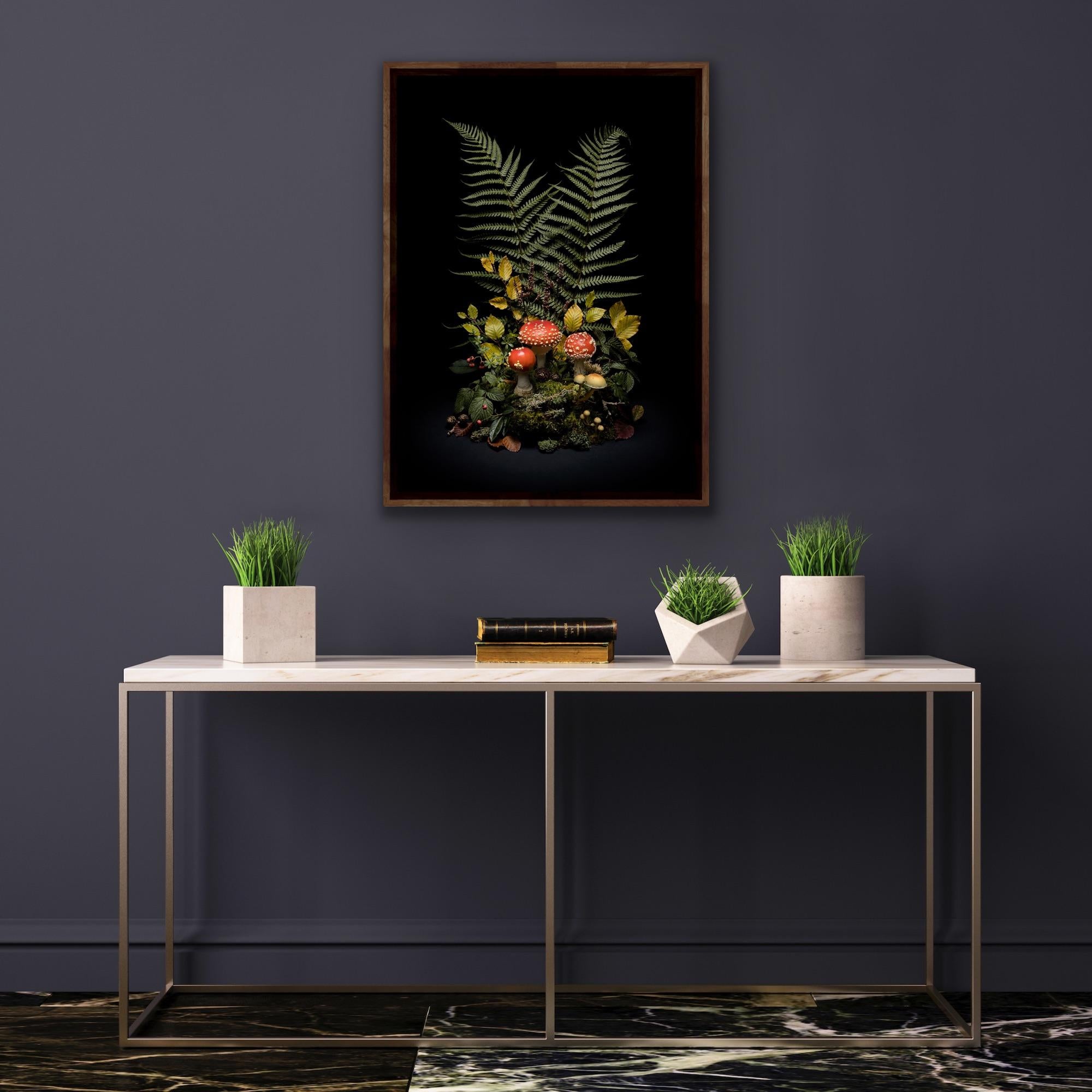 Dark Flora: Fly Argaric - mounted print and framed in oak For Sale 2