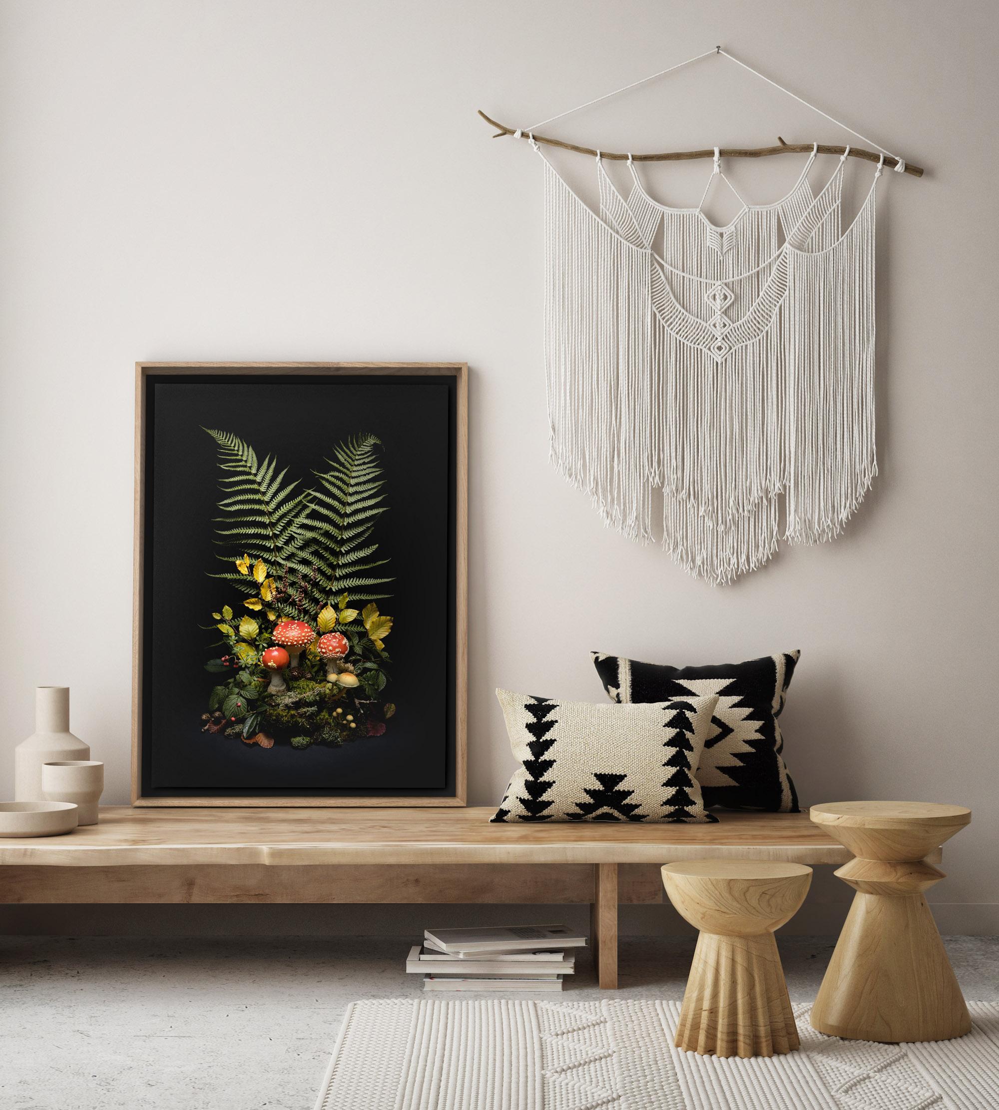 Dark Flora: Fly Argaric - mounted print and framed in oak For Sale 4