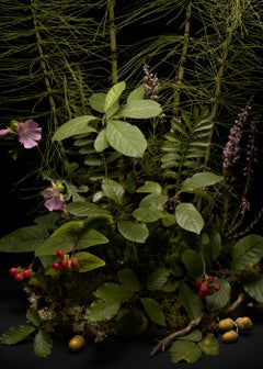 Dark Flora #, Horsetail, A floral arrangement of wild plants and flowers