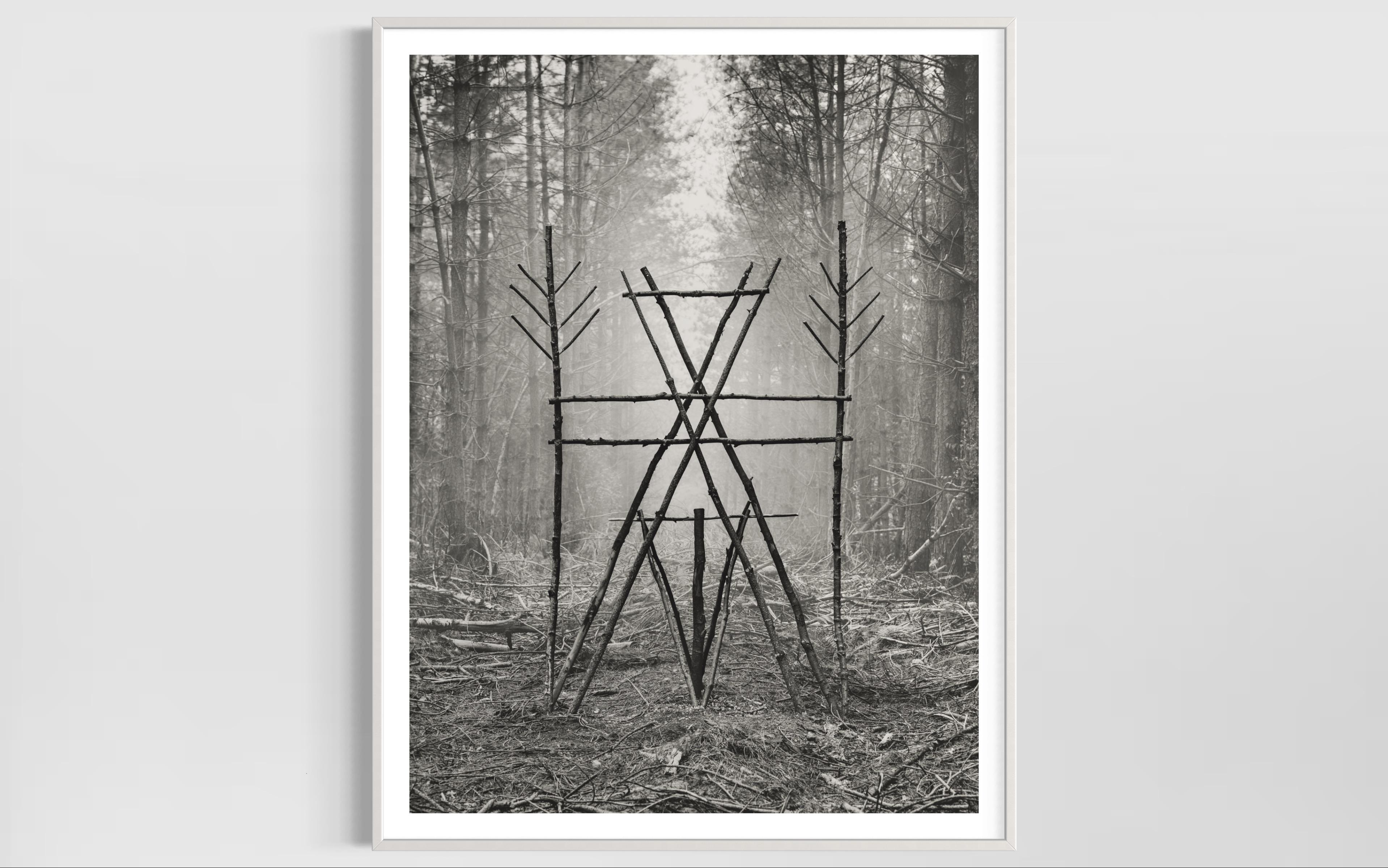 Forest Figure 02 in Black and White Print of Talismanic Sculptural Wood For Sale 2