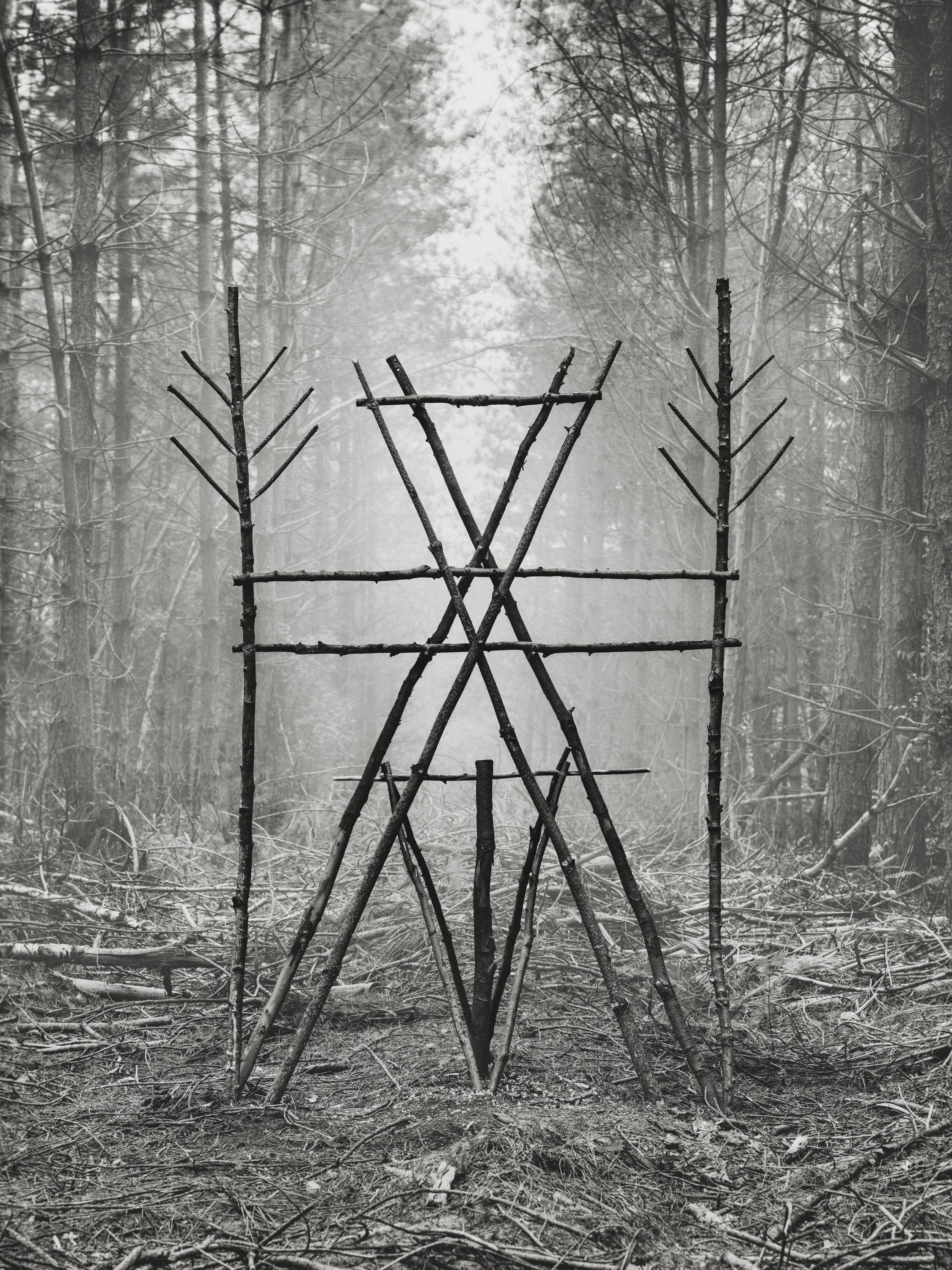 Forest Figure 02 in Black and White Print of Talismanic Sculptural Wood