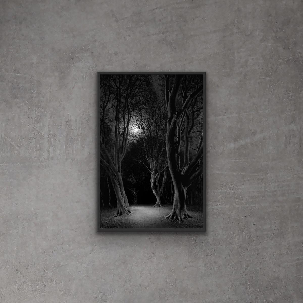 Schwarzes und weißes Mondlicht hinter den Bäumen und der Weg im Wald bei Nacht (Zeitgenössisch), Photograph, von Jasper Goodall