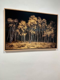 Twilight #20, Birchwood, Archival Pigment Print on Dibond in Oak frame