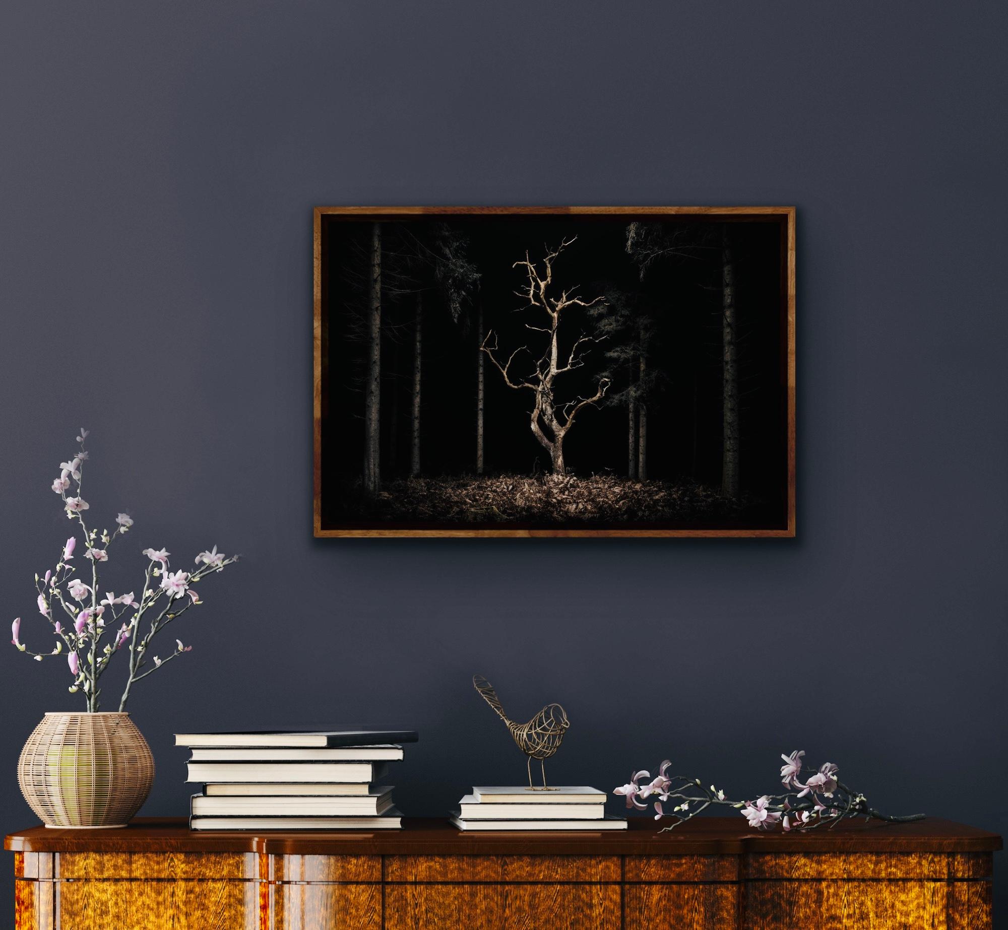 Landscpae 034, Danse Macabre - Un arbre squelettique en chêne - Conceptuel Photograph par Jasper Goodall