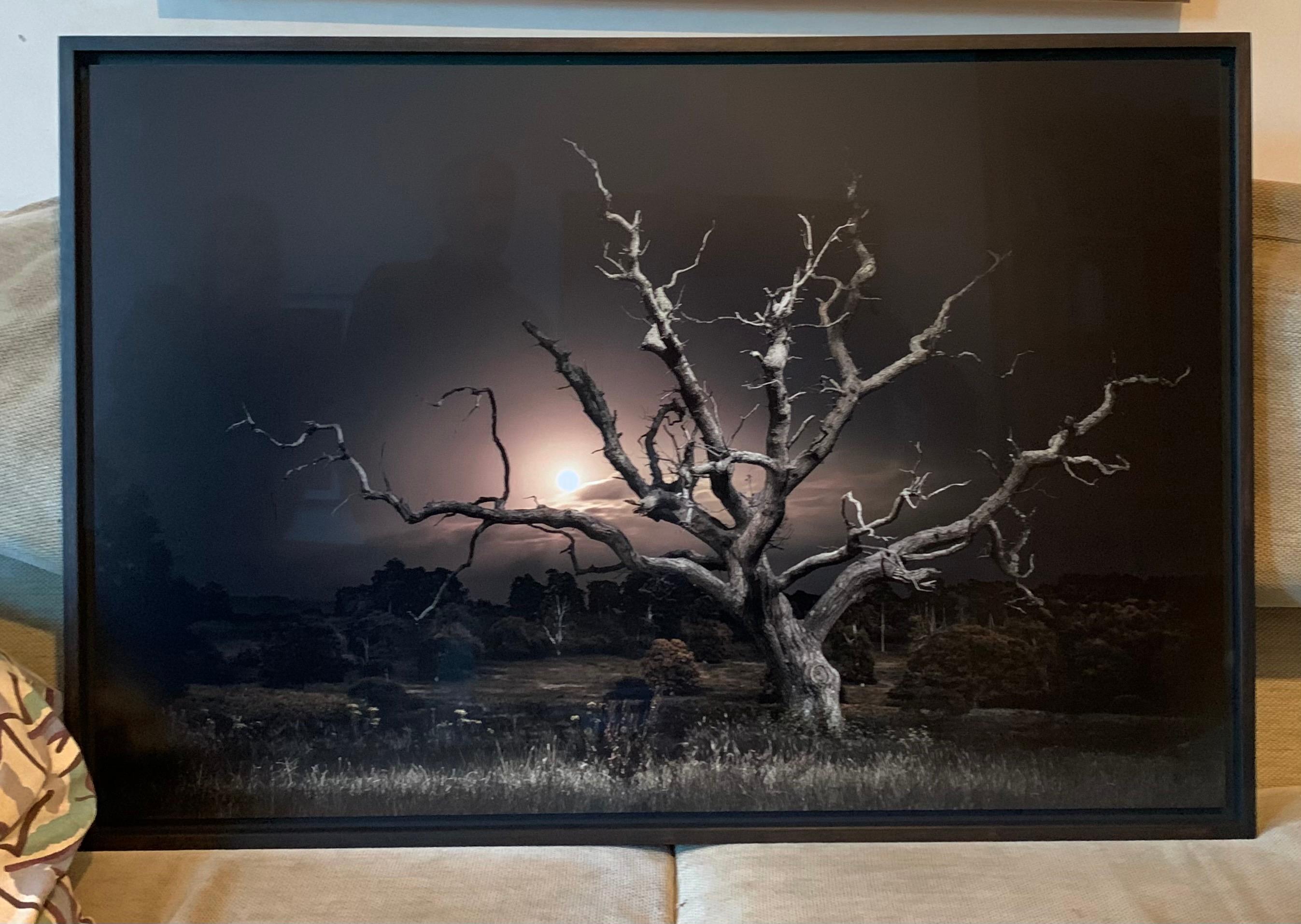 Le chemin de la lune, 030, lever de la lune en pleine lune, chêne squelettique, paysage - Noir Landscape Photograph par Jasper Goodall