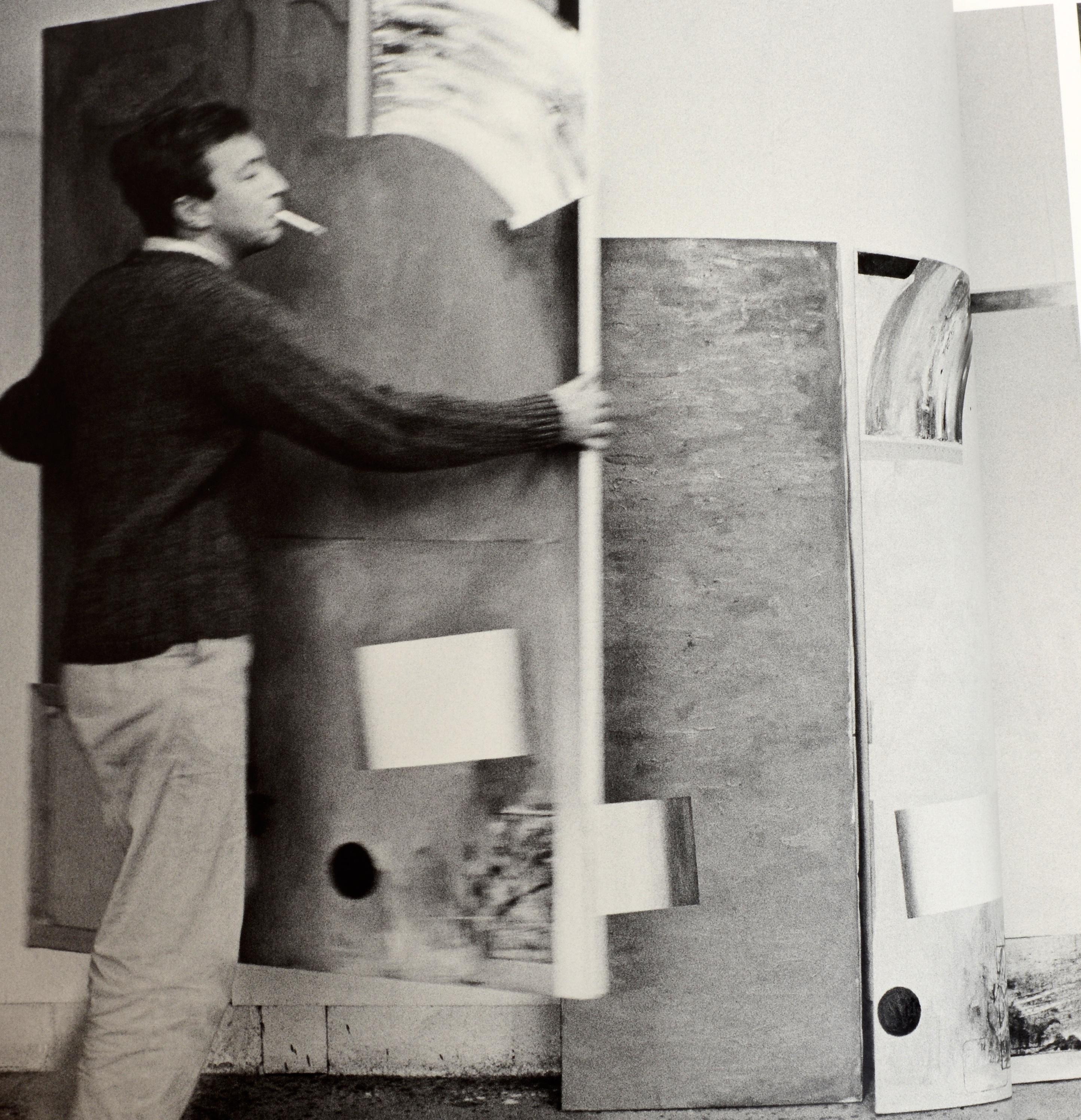 Jasper Johns : Une allégorie de la peinture, 1955-1965 par Jeffrey Weiss en vente 2