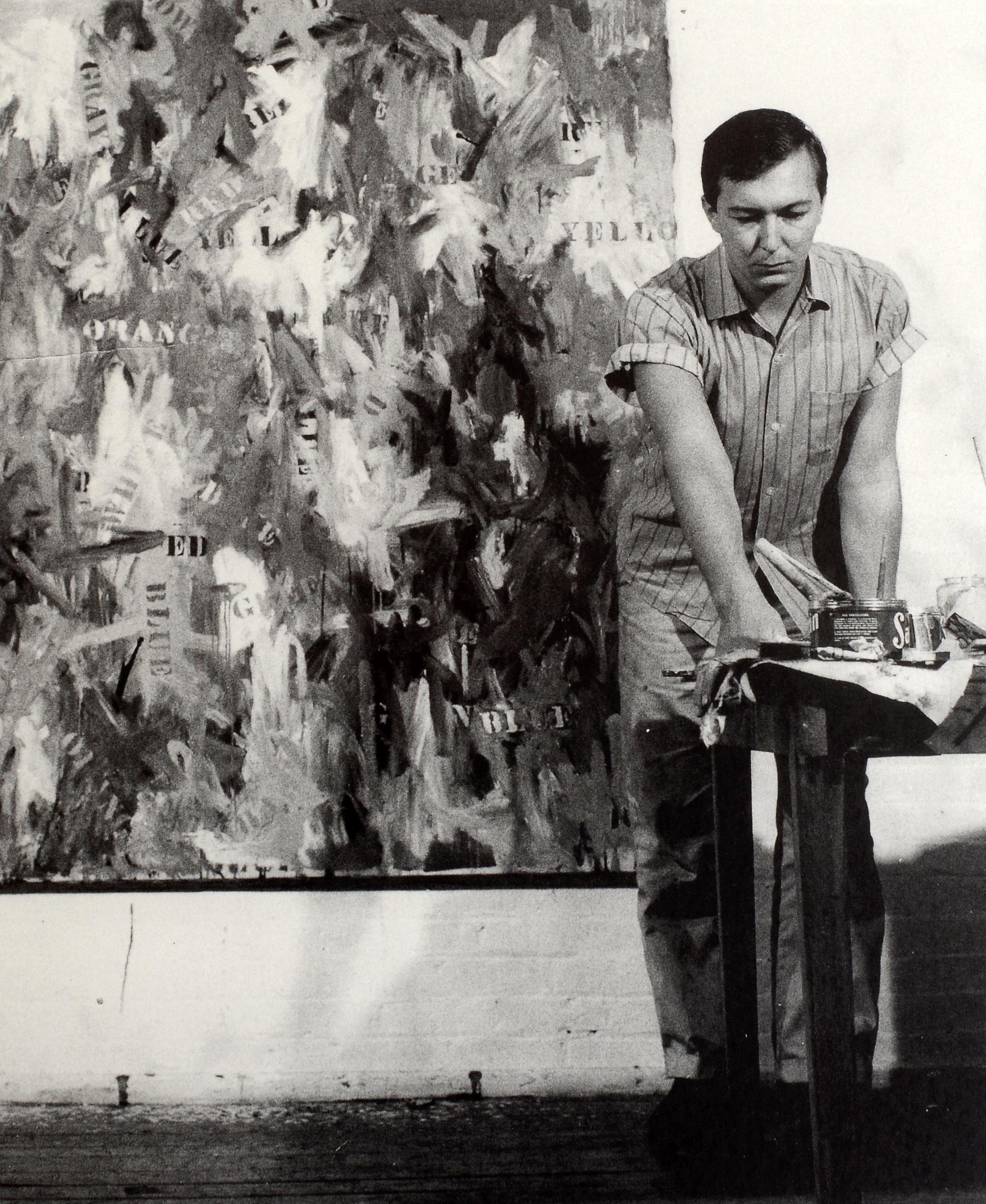 Jasper Johns : Une allégorie de la peinture, 1955-1965 par Jeffrey Weiss en vente 3