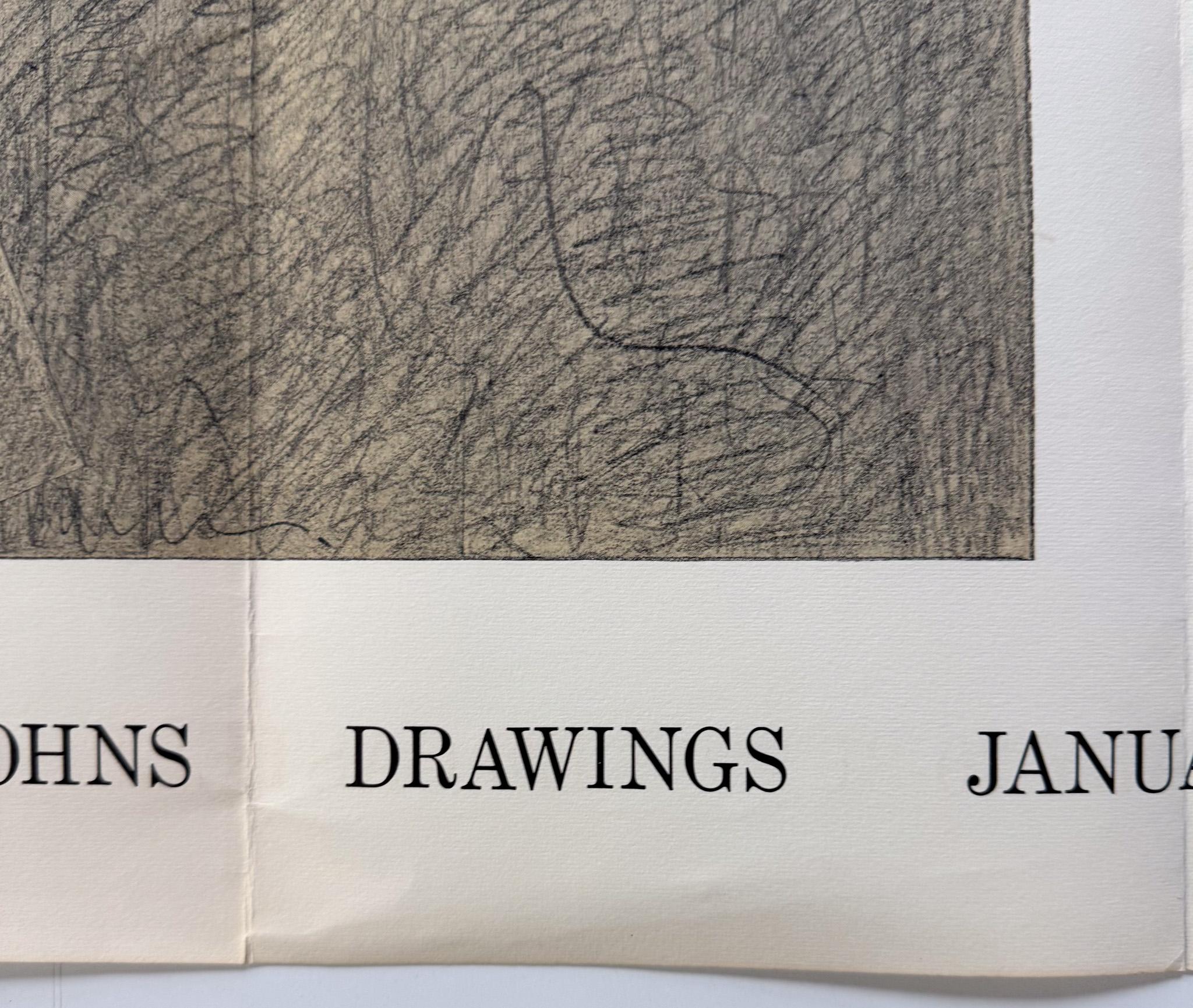Cartel de Jasper Johns, Galería Leo Castelli 1970 Estadounidense en venta