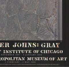 Jasper Johns Within from the Chicago Art Institute