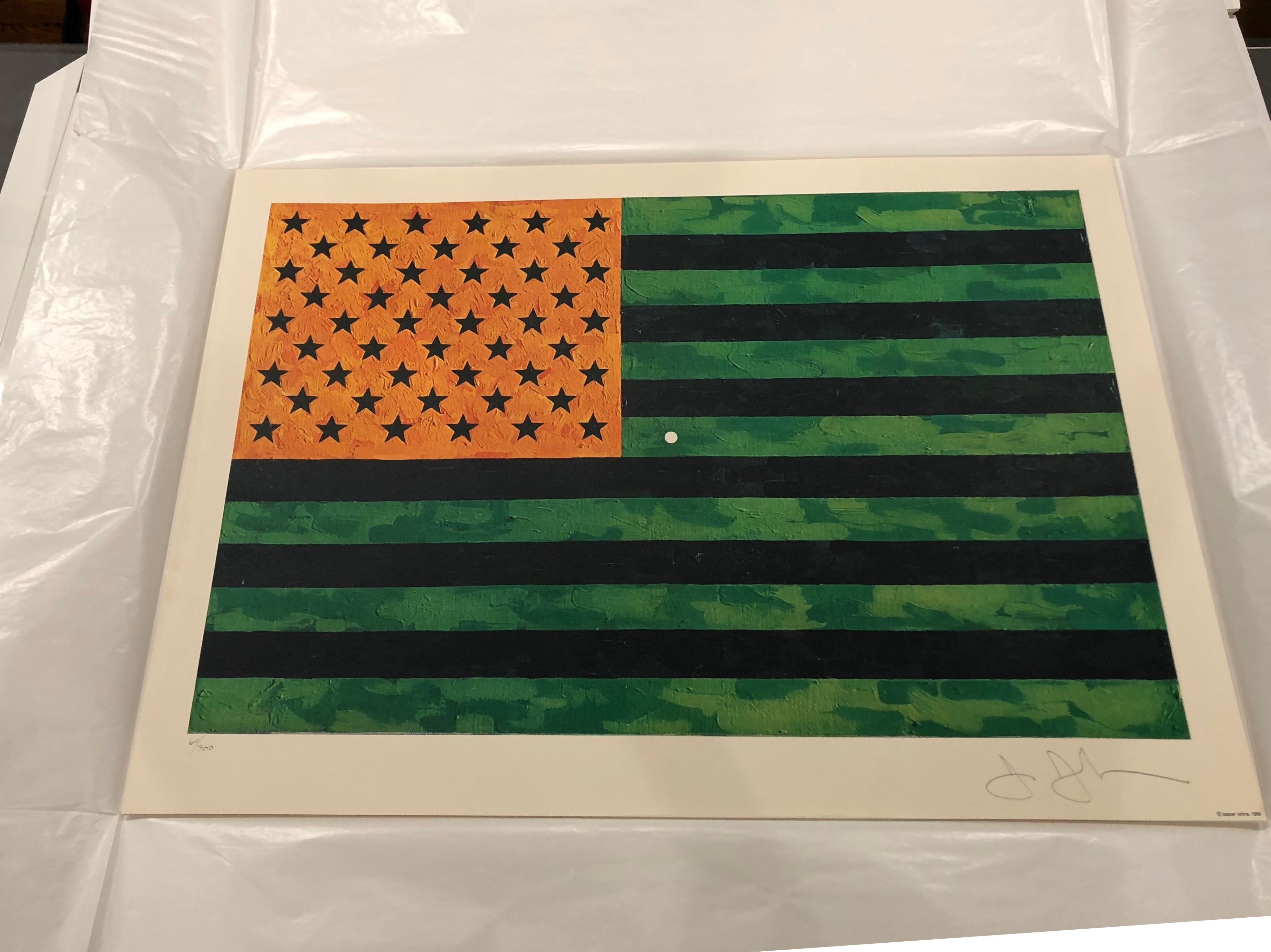 jasper johns flag moratorium