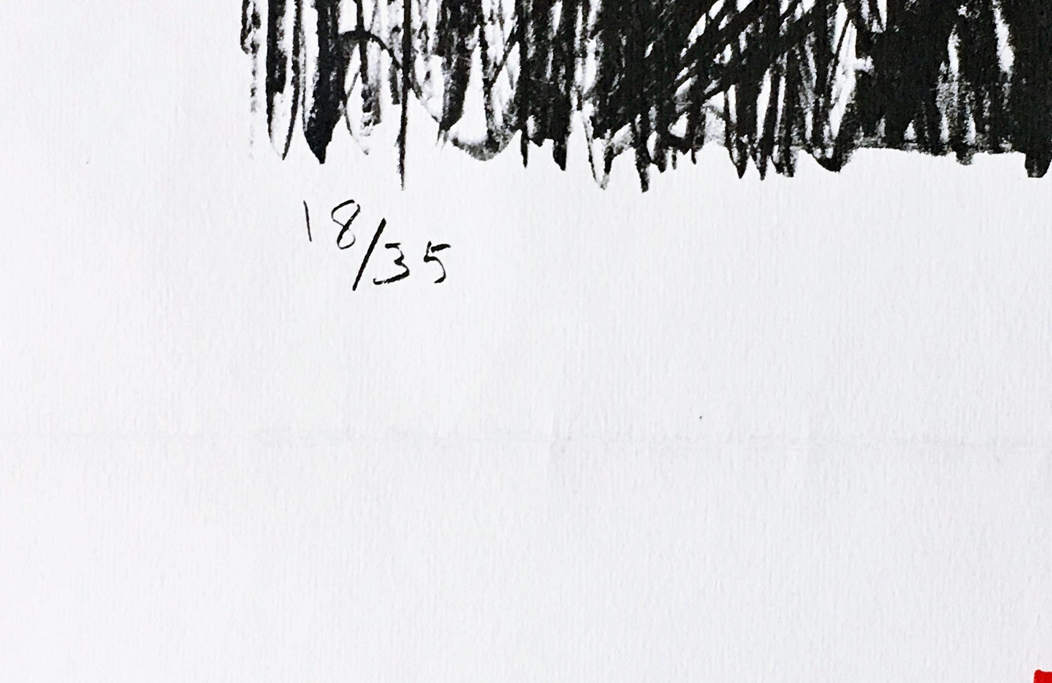 Jasper Johns at Ileana Sonnabend (rare early mid century modern European poster) im Angebot 2