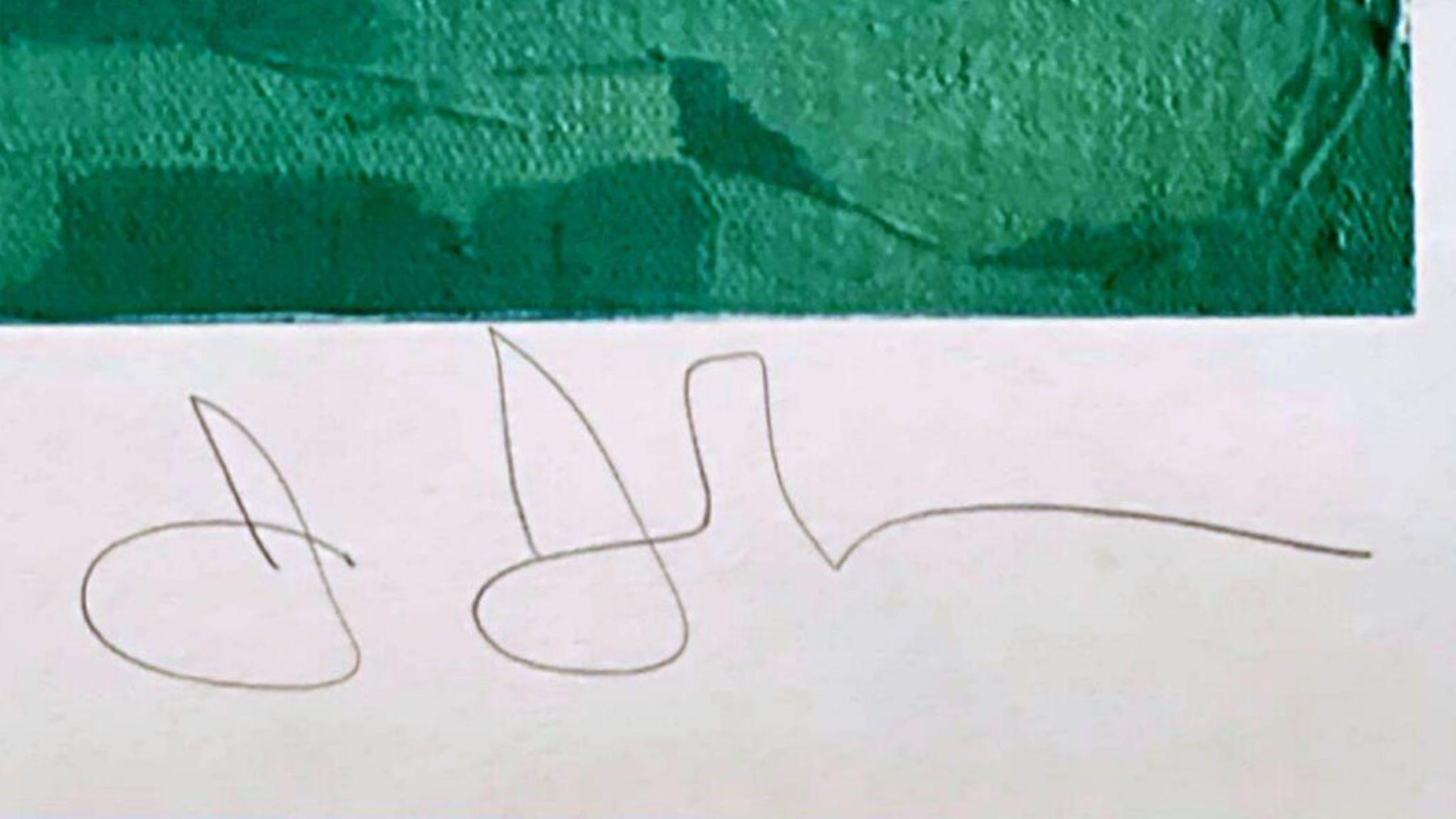 Jasper Johns, Flag (Moratorium), ULAE S5 hand signed limited edition 1969 1