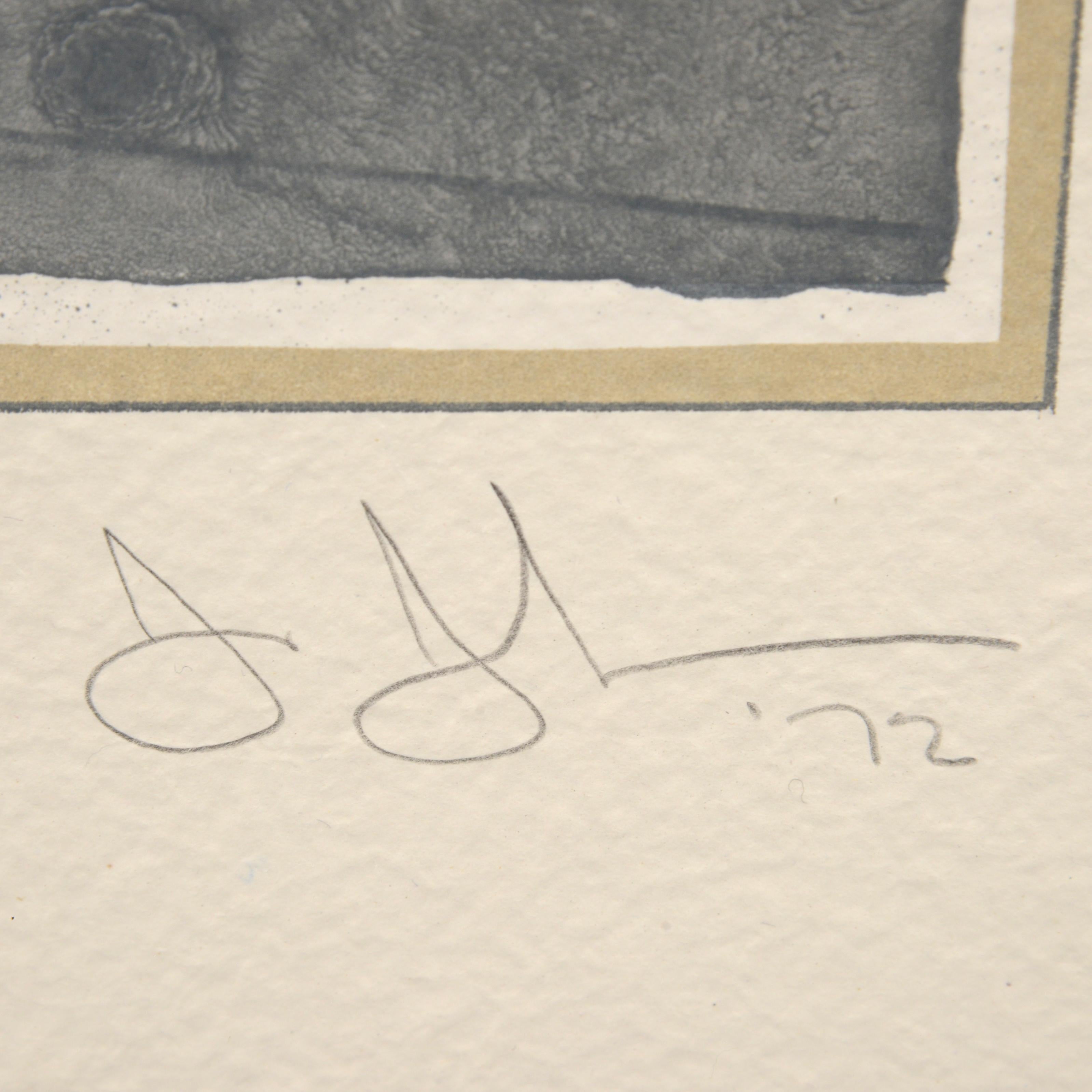 Jasper Johns SOUVENIR I Litografía en venta 3