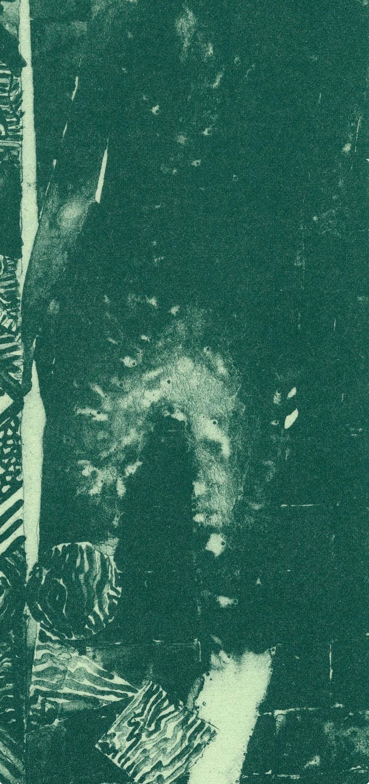 Jasper Johns, Summer Green, State II, from The Seasons, 1991 For Sale 3