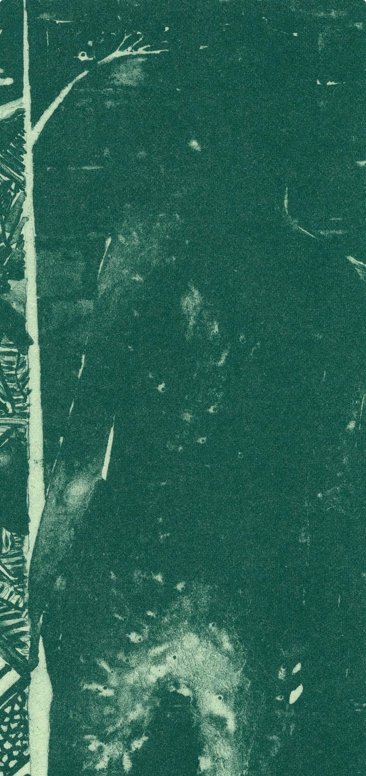 Jasper Johns, Summer Green, State II, from The Seasons, 1991 For Sale 4