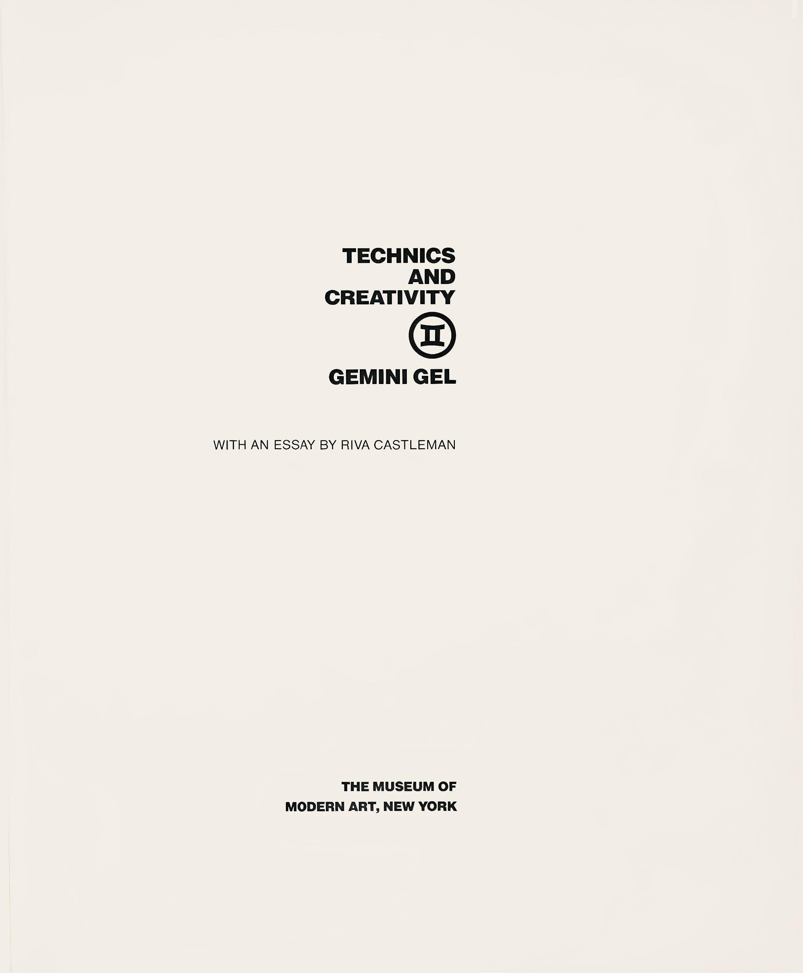 Jasper Johns, Target (ULAE 89), Technik und Kreativität, Gemini G.E.L. (nach) im Angebot 4