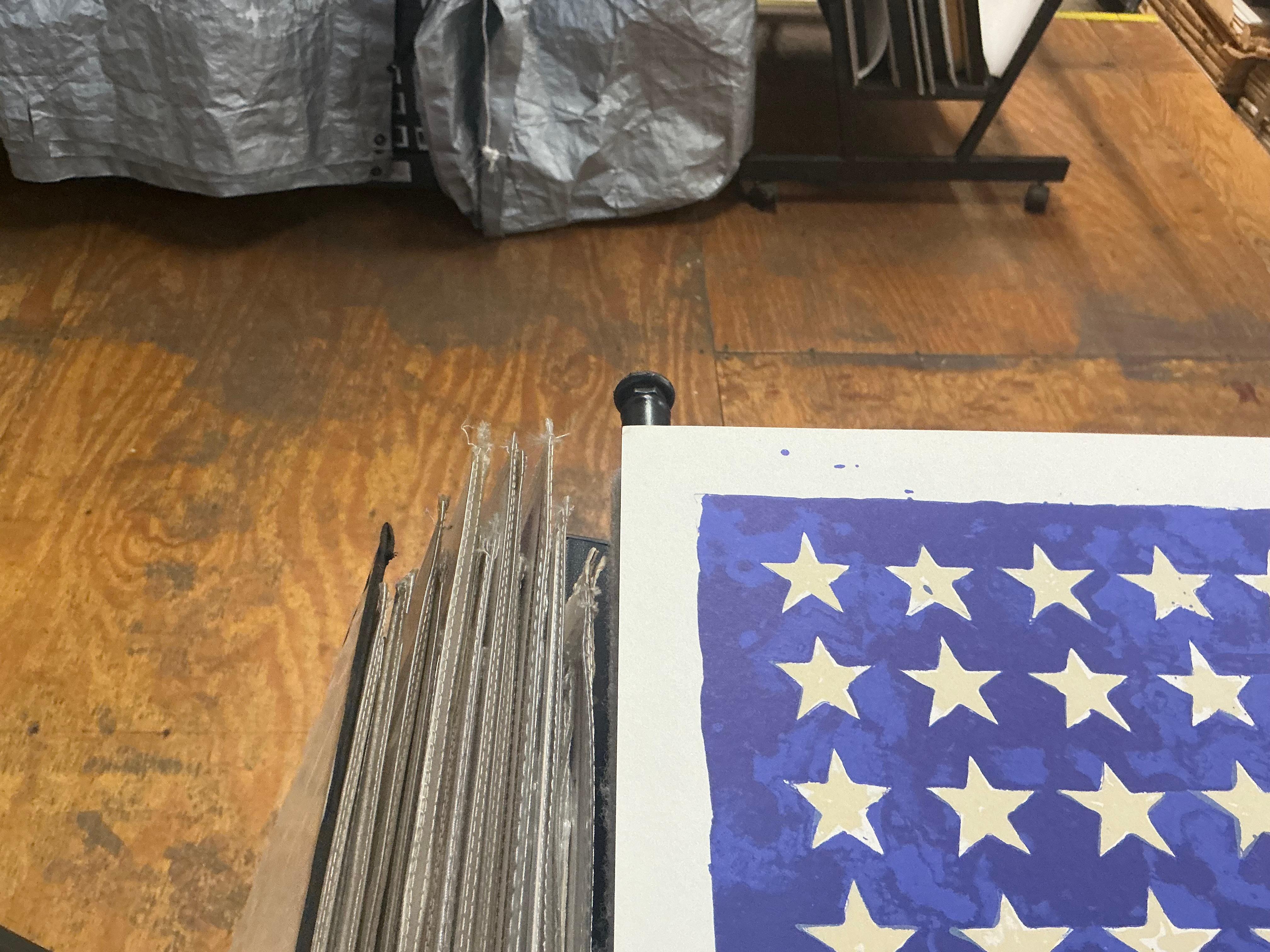 Jasper Johns 'The 50th Anniversary of the Whitney Museum'-1979-Vintage Pop Art For Sale 13