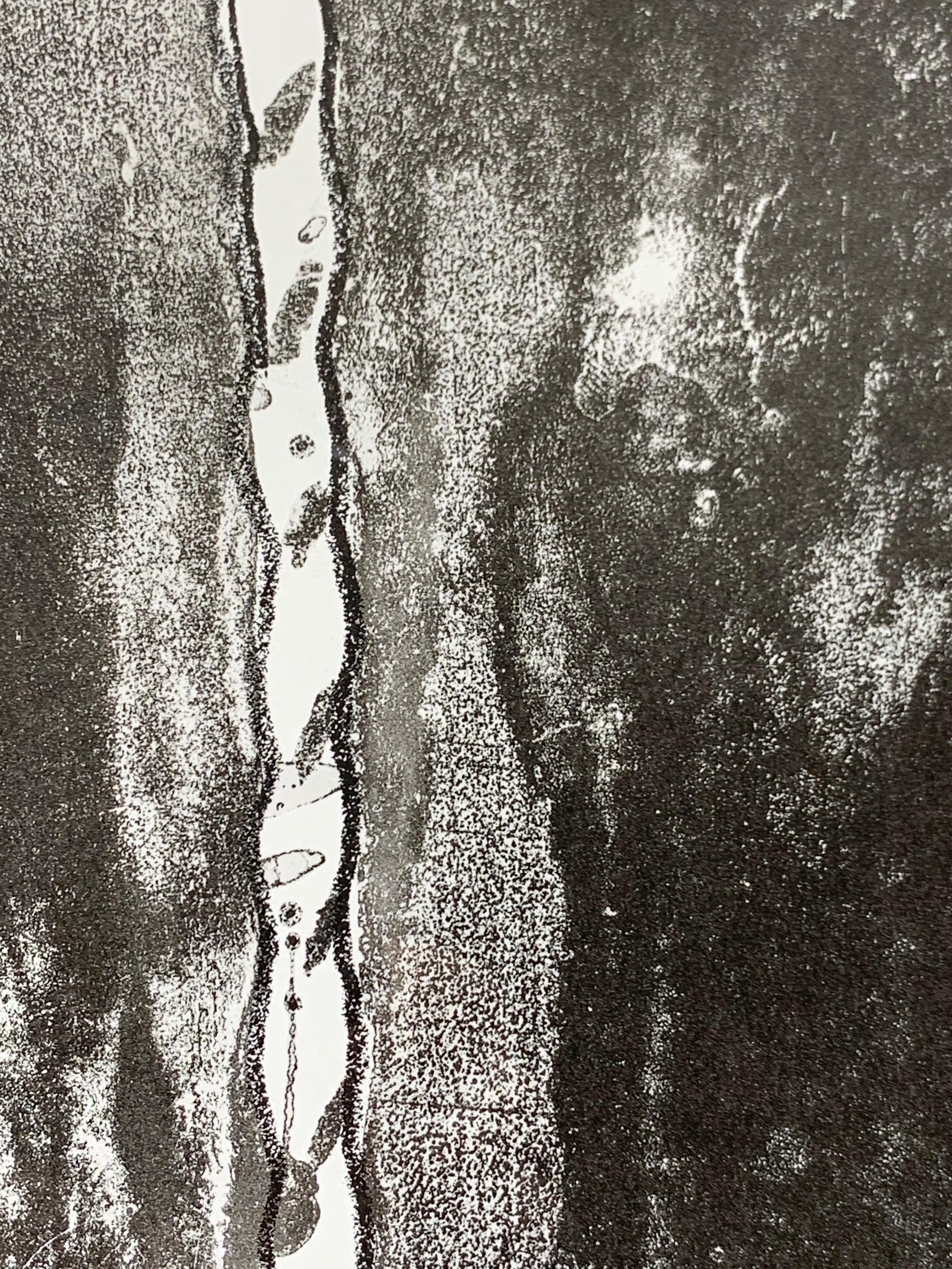 Jasper Johns (né en 1930) : Nature morte récente
Lithographie en noir sur papier vélin, 1966, signée et datée '2016' à l'encre.

34 1/2 x 19 3/4 in. (feuille), 36 1/2 x 21 1/2 in. (cadre).

Provenance : 

Propriété de la collection de Tom