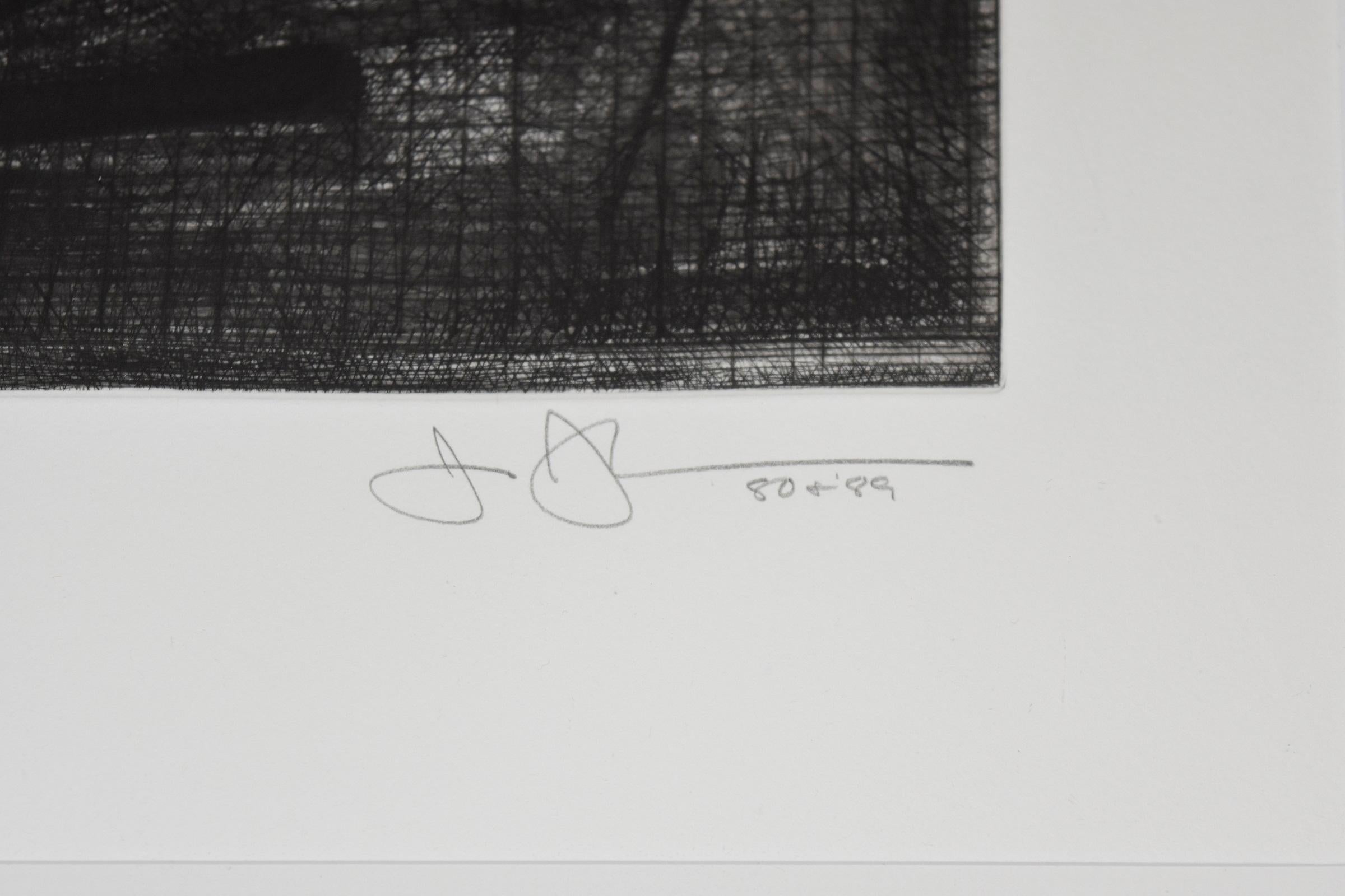 Künstler:  Jasper Johns 
Titel:  Zielscheibe mit Gipsabdruck Schwarz und Weiß
Medium:  Kaltnadelradierung, Radierung, Aquatinta
Auflage:  AP IV/XVI
Datum:  1990
Abmessungen:  23 1/2 x 17 7/8
Beschreibung:  Signiert, datiert '80 & '89 und nummeriert