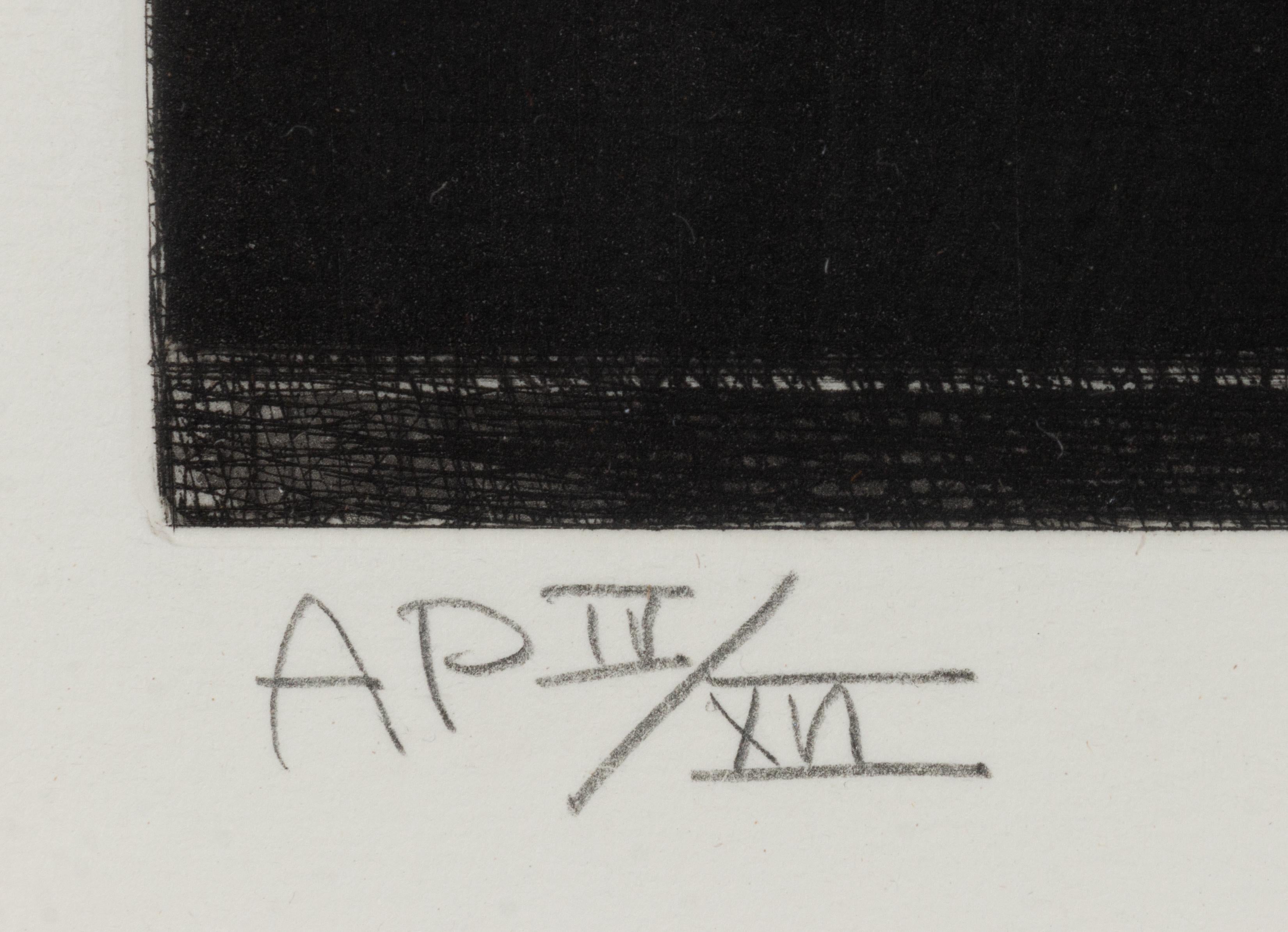 TECHNISCHE INFORMATIONEN

Jasper Johns
Zielscheibe mit Gipsabdrücken (schwarz/weiß)
1980-1989
Kaltnadelradierung und Aquatinta
31 1/8 x 24 1/8 Zoll.
AP IV/XVI
Mit Bleistift signiert, datiert 80-89 und nummeriert

Begleitet mit COA von Gregg