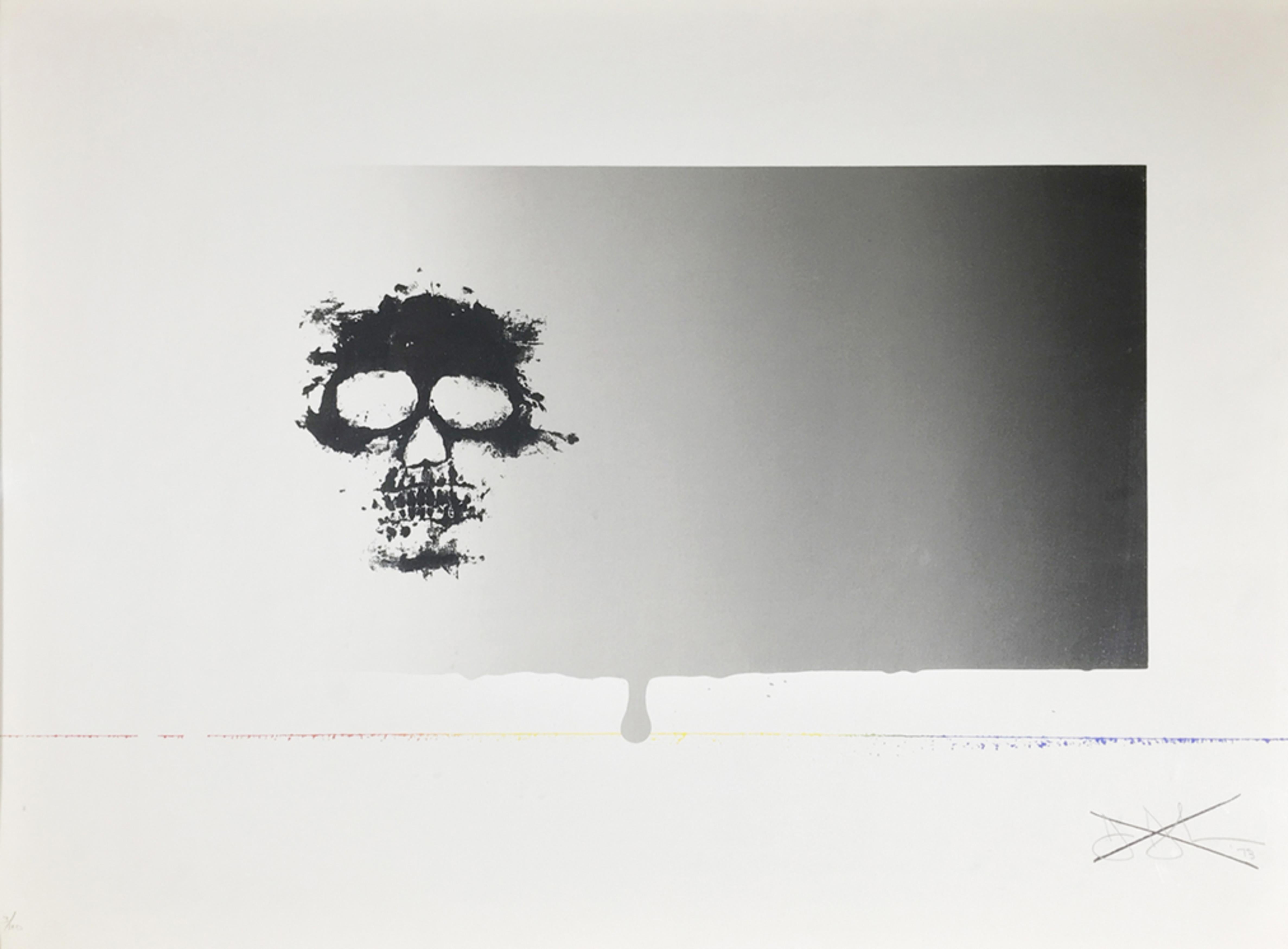 Sans titre (crâne) - Print de Jasper Johns