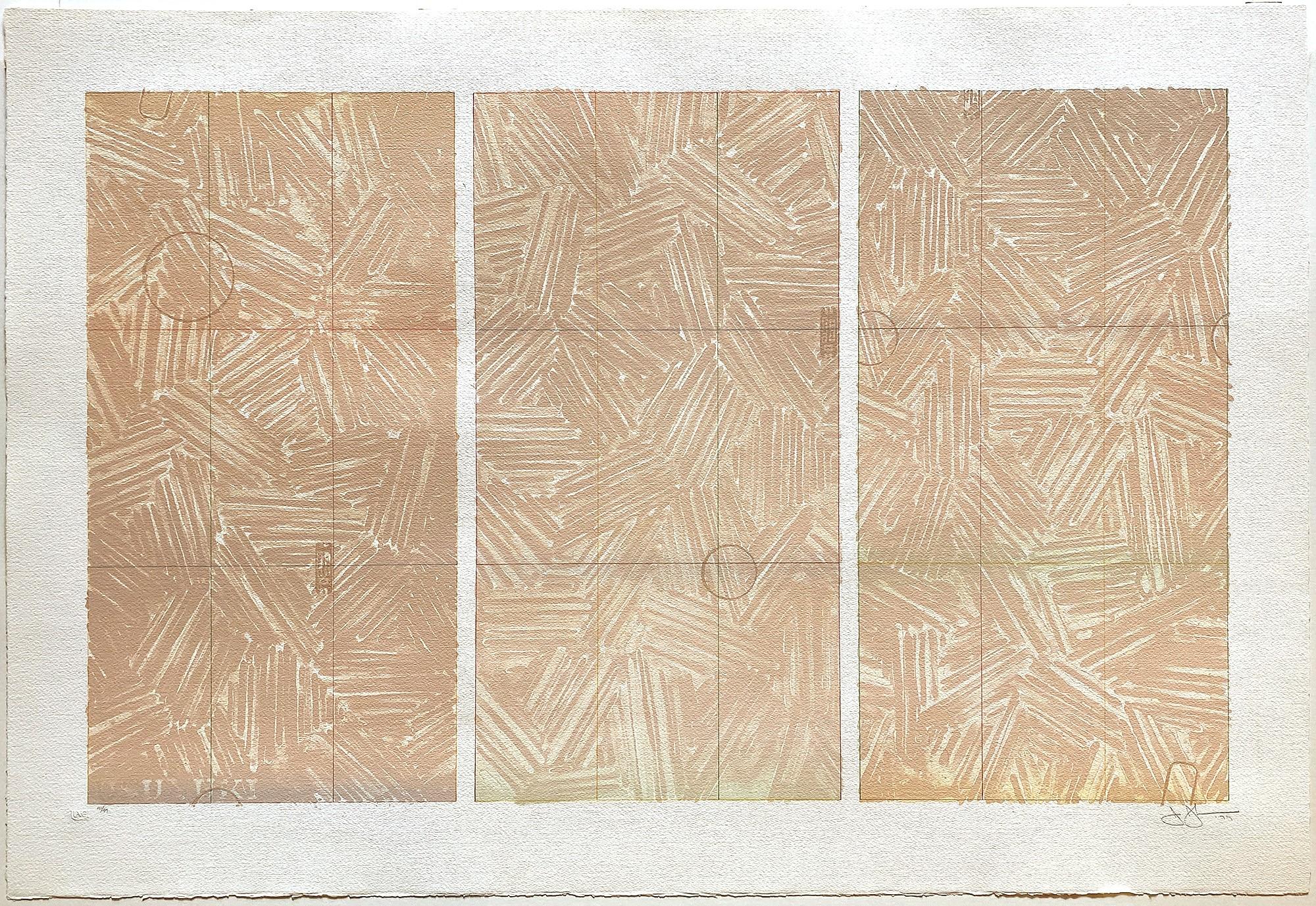 Jasper Johns has long explored a range of expressive variations using a crosshatching motif. Works with the title Usuyuki are named after the Japanese word for light snow. In 1979, the artist created this original print as a lithograph with the most
