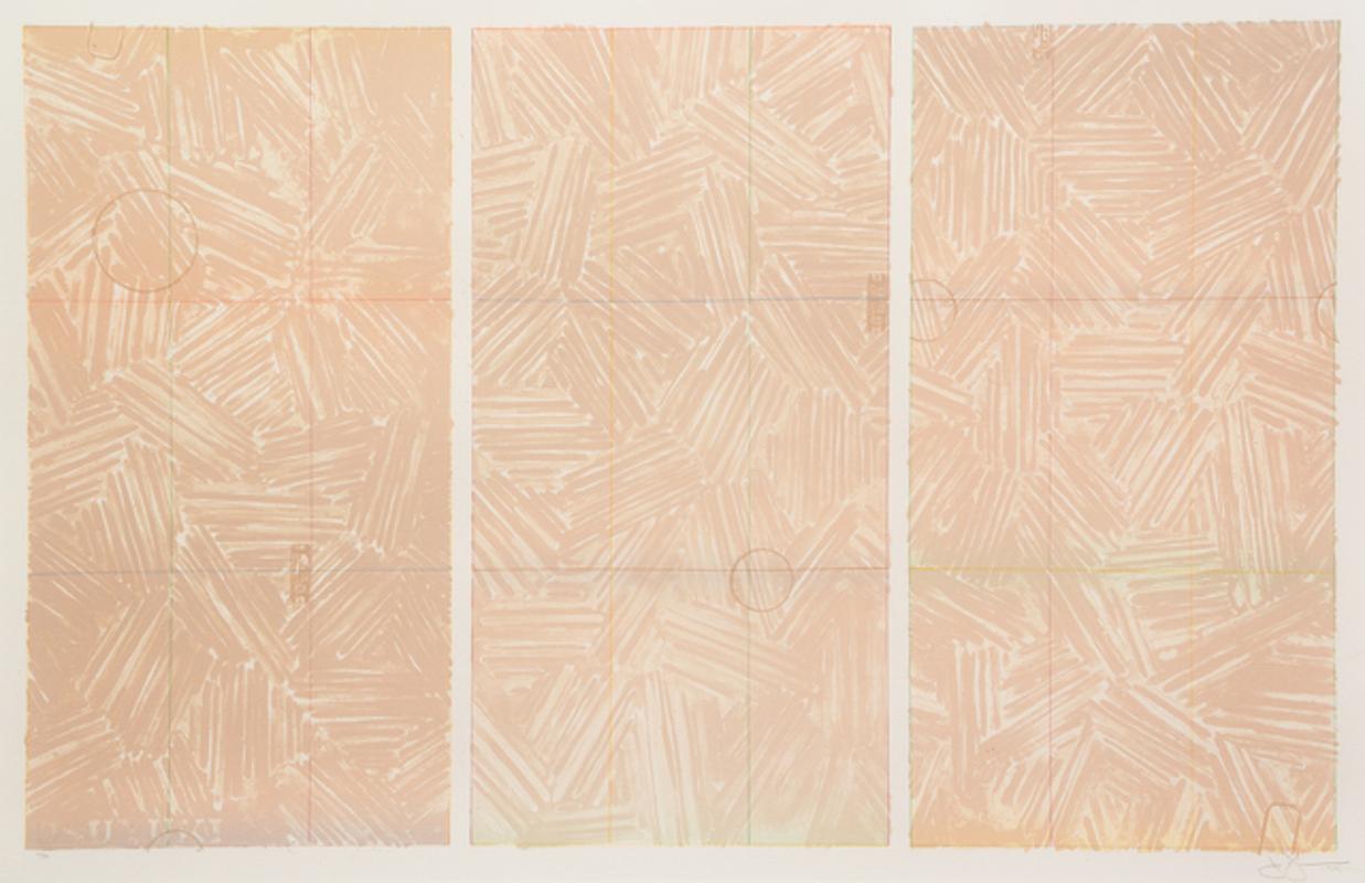 Jasper Johns a longtemps exploré toute une gamme de variations expressives à partir du motif des hachures. Les œuvres portant le titre Usuyuki sont nommées d'après le mot japonais désignant la neige légère. En 1979, l'artiste a créé cette estampe