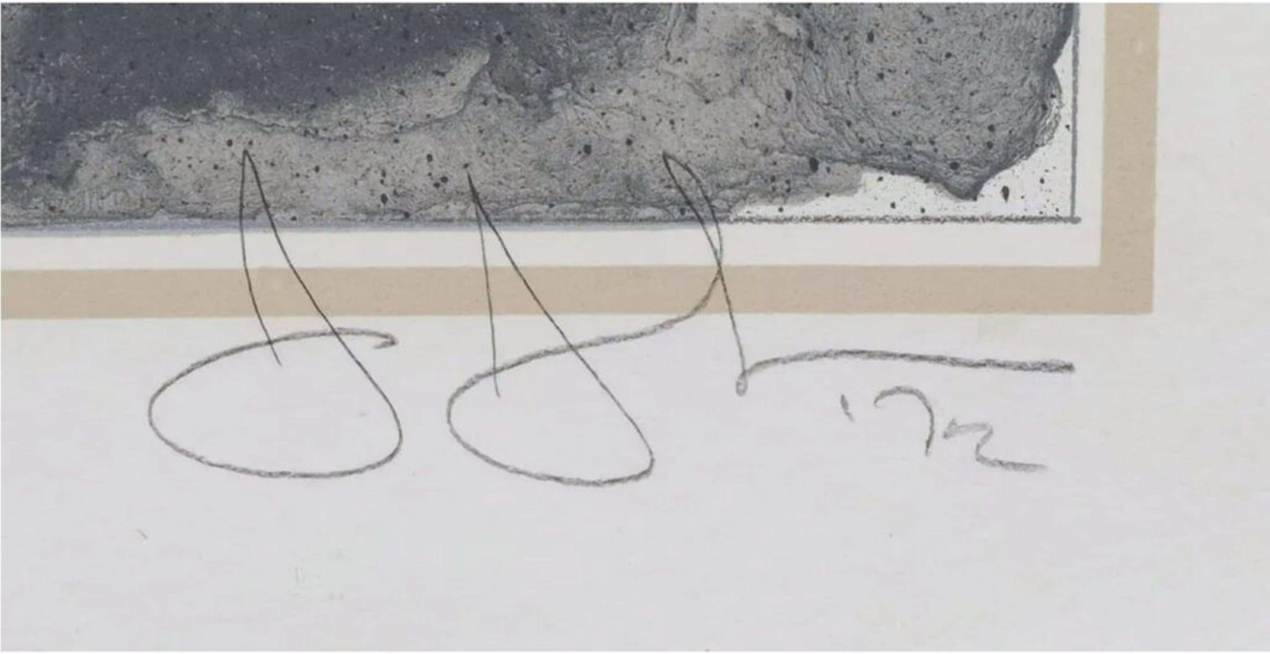 VIOLA (Founding Member of Merce Cunningham Dance Company), Lithograph, Signed/N - Print by Jasper Johns