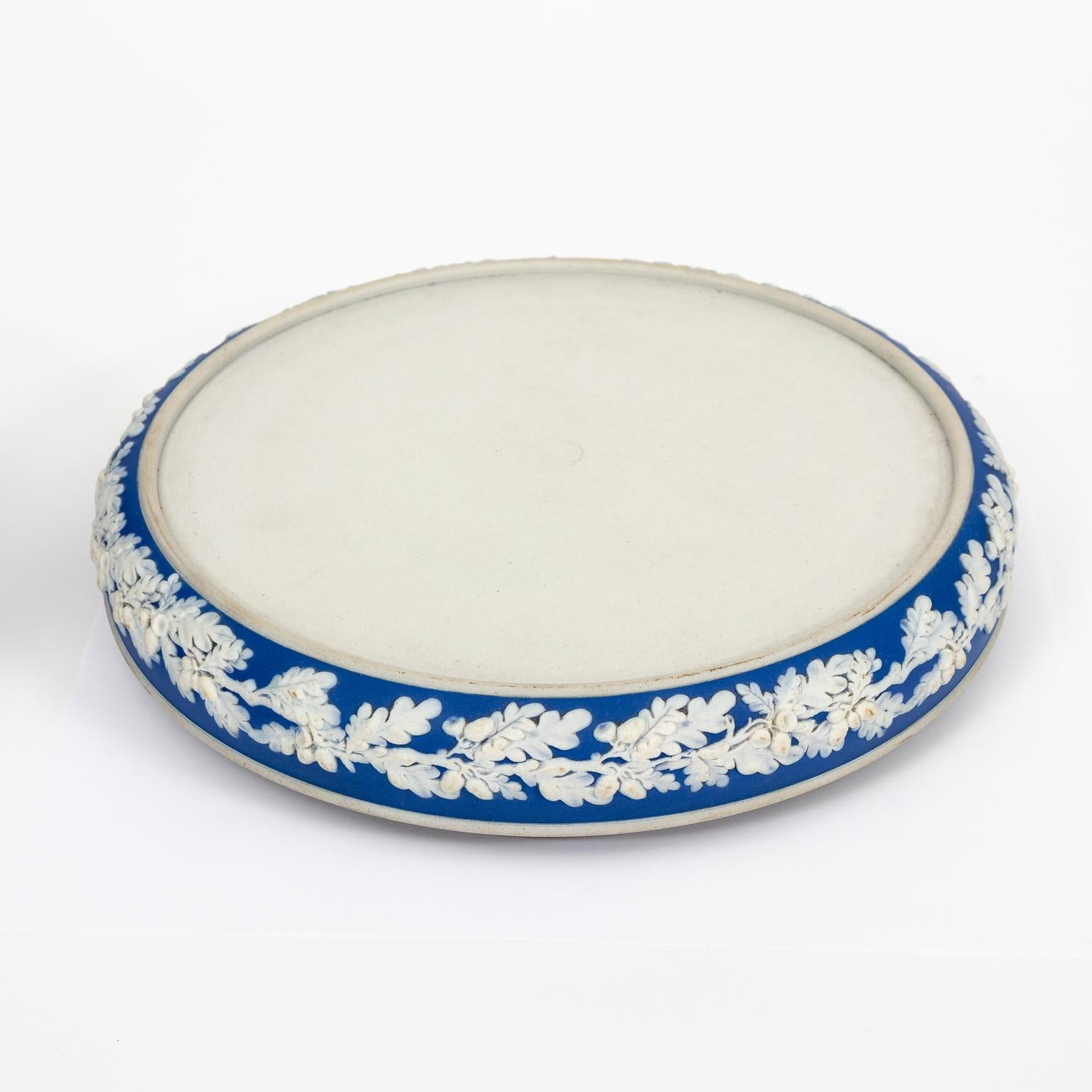 cheese domes for sale