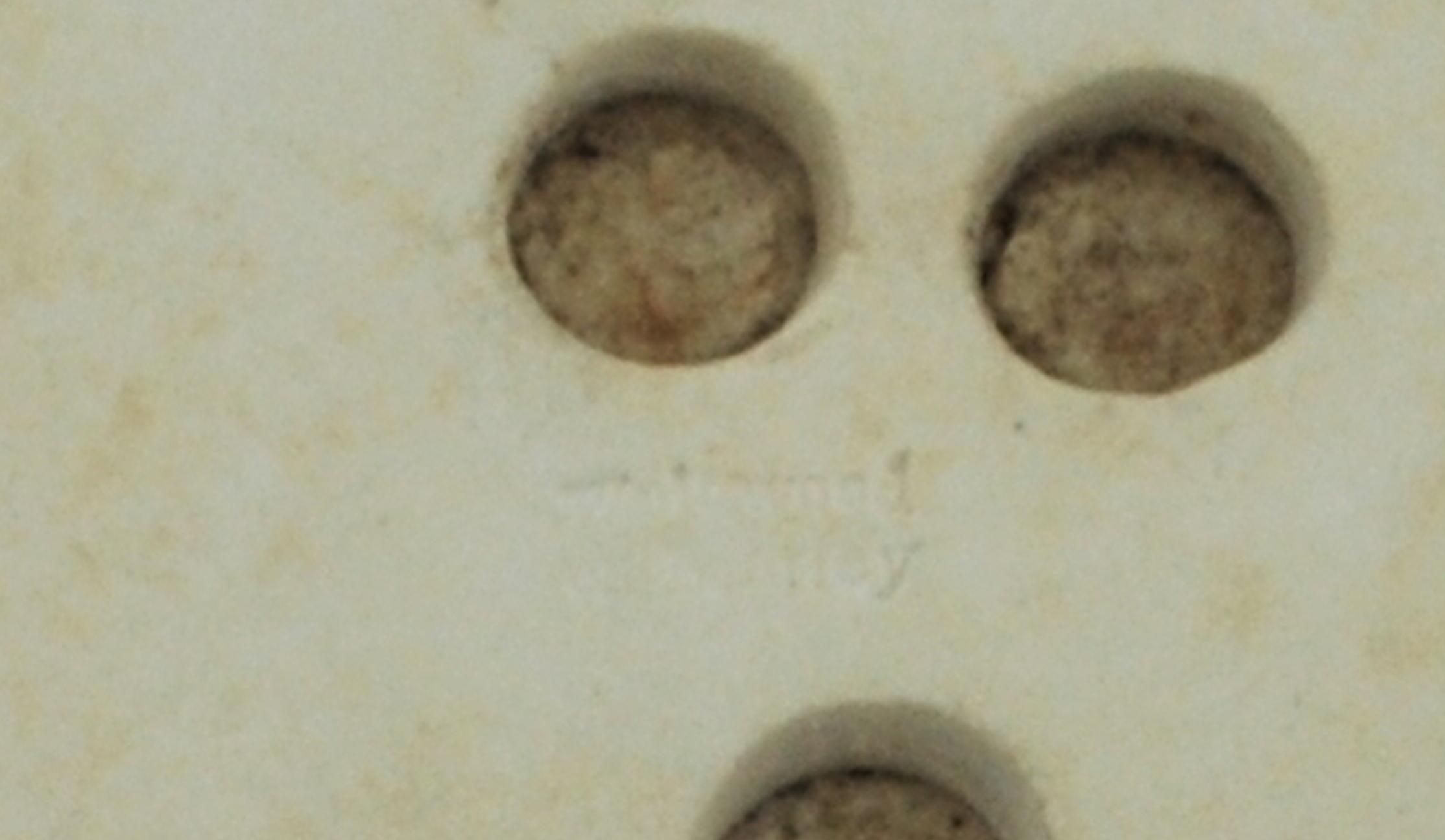 Medallón de jaspeado con retrato, Marco Antonio, Wedgwood, hacia 1778 Inglés en venta