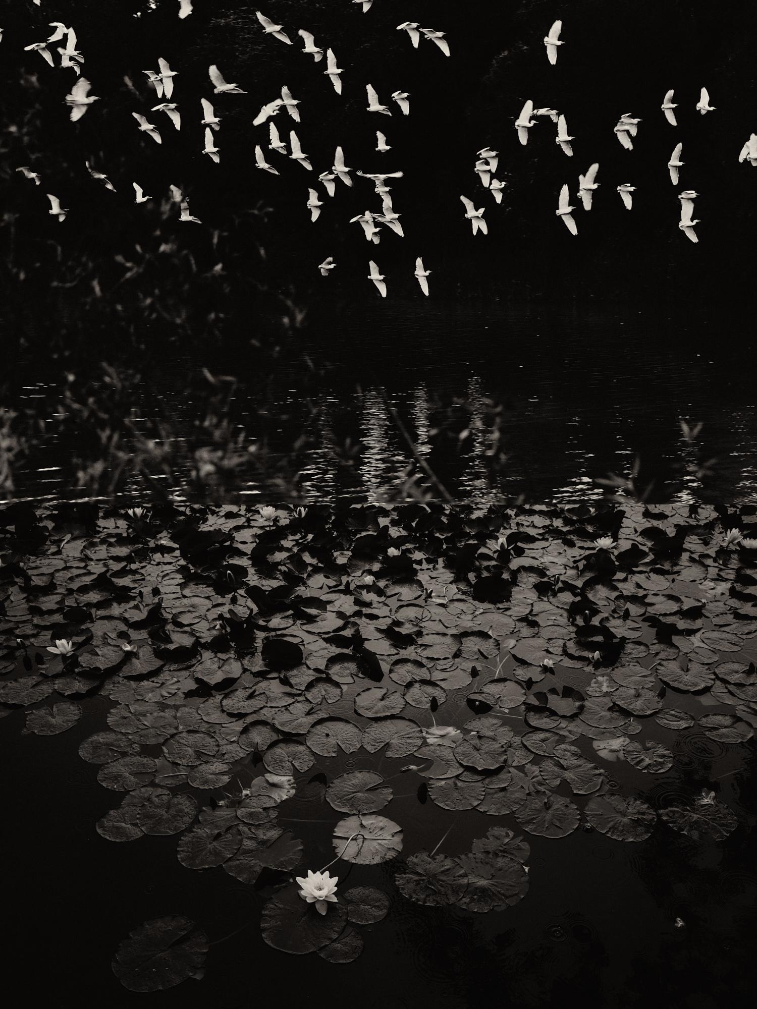 Water Landscape Photography