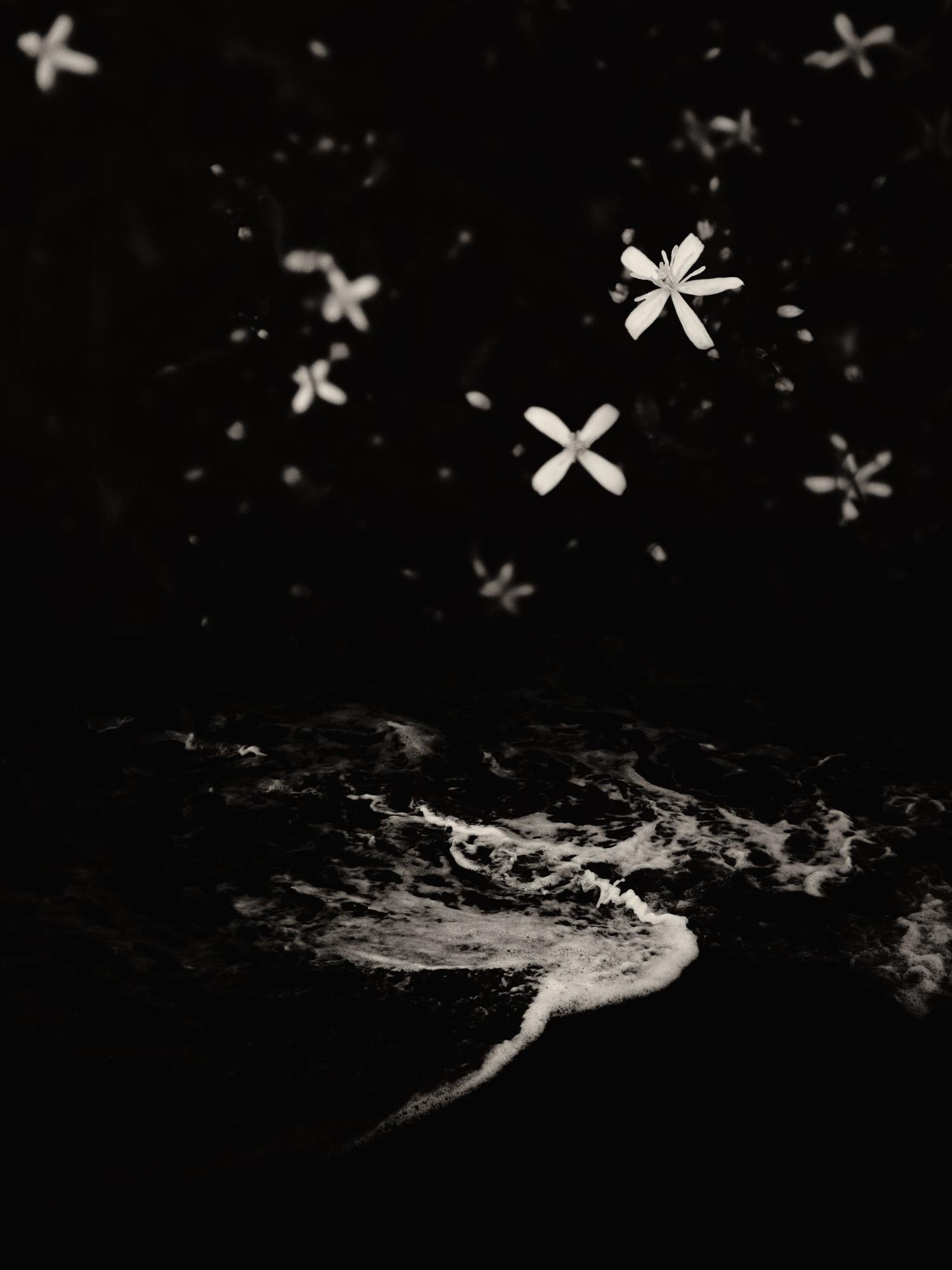 Gaia 23 - Jasmine in Springtime in Catalonia Spanish Natural Landscape Diptych