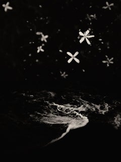 Black and White Photography