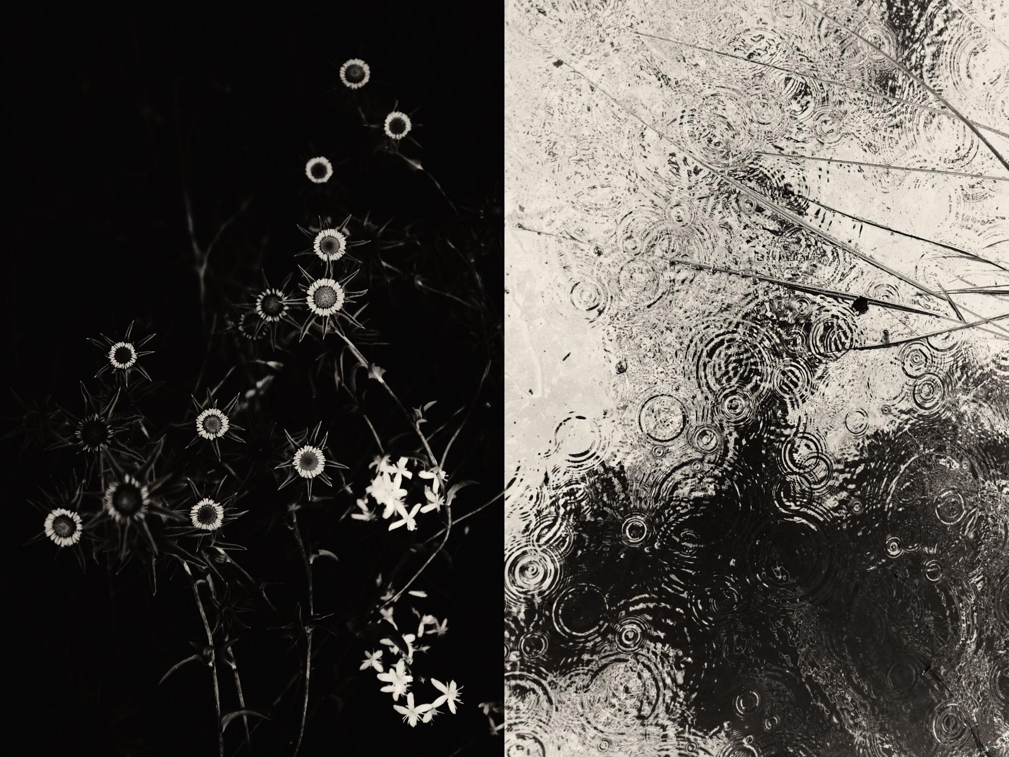Black and White Photograph Jaume Llorens - Gaia 4 - Diptyque monochrome Photographie de paysages catalans espagnols