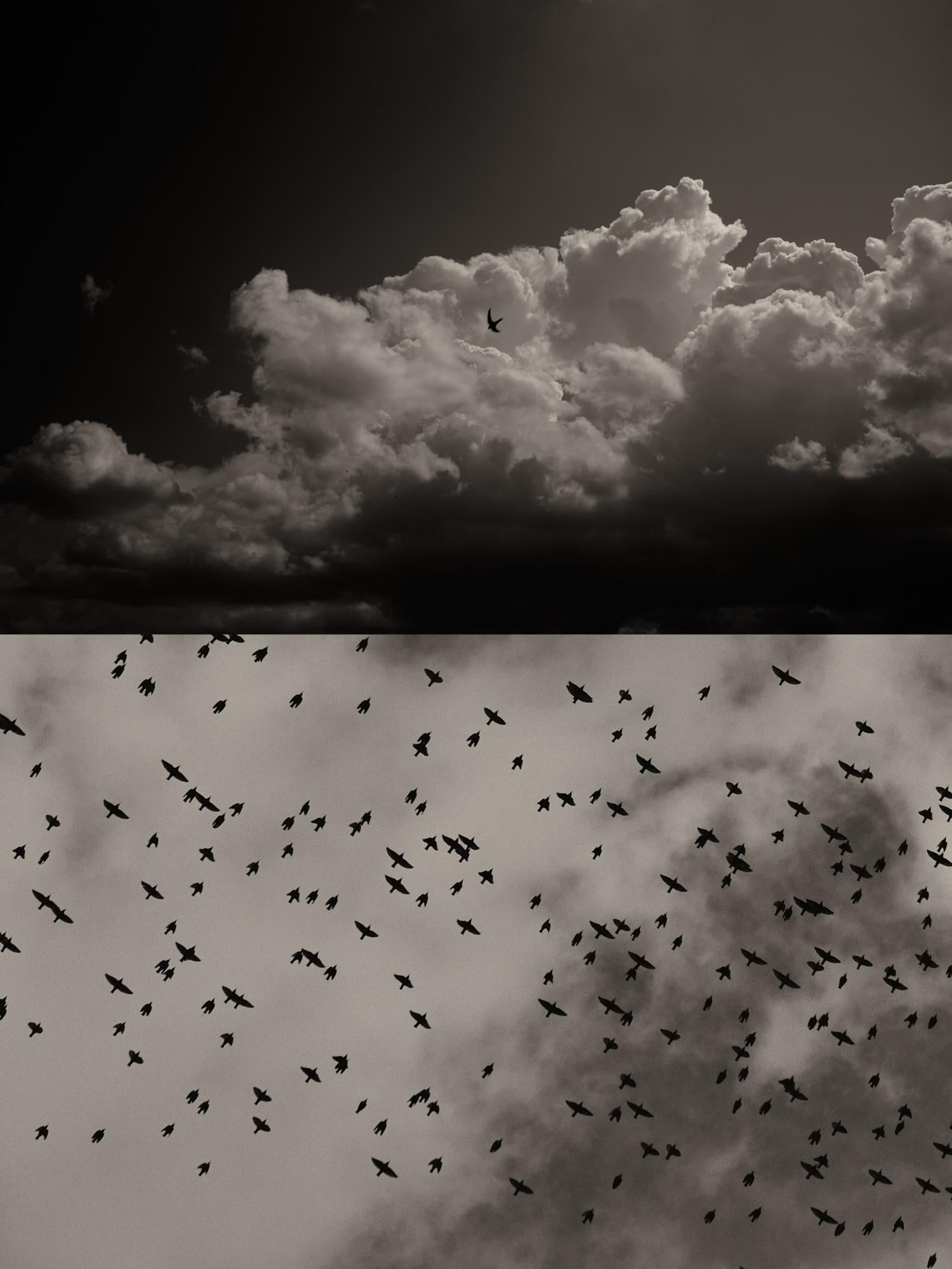 Black and White Photograph Jaume Llorens - Gaia 59 - Clouds Sky Birds Murmuration Photographie de paysage en noir et blanc