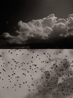 Gaia 59 - Clouds Sky Birds Murmuration Photographie de paysage en noir et blanc