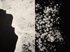 Gaia 001 - Black and White Diptych of Waves on Shoreline with Sand and Flowers