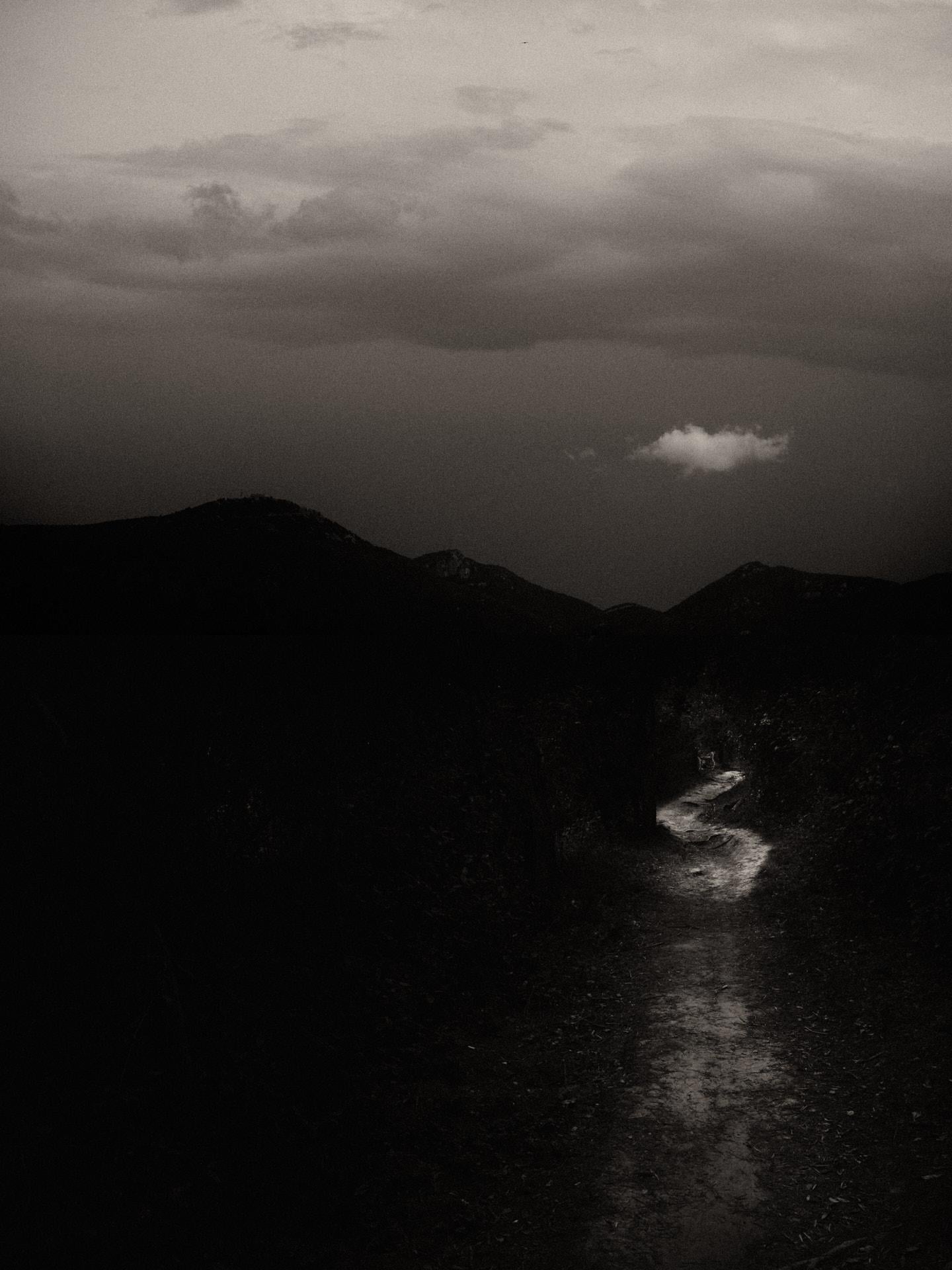 Díptico Gaia 090 - Edición limitada en blanco y negro Impresión fotográfica