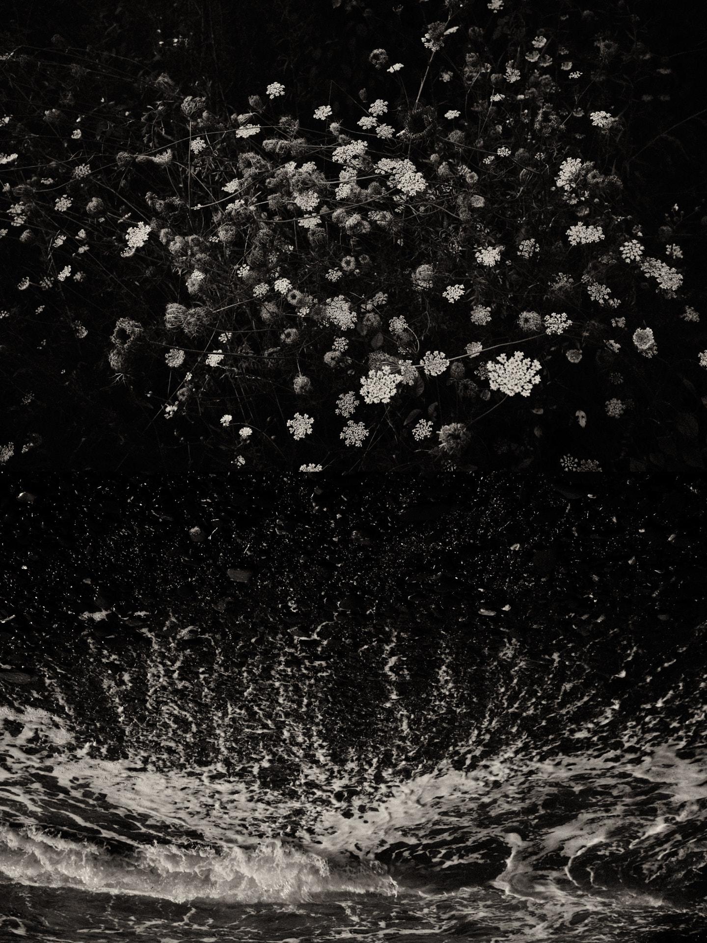 Díptico Gaia 098 - Edición limitada en blanco y negro Impresión fotográfica