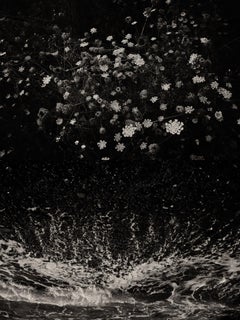 Díptico Gaia 098 - Edición limitada en blanco y negro Impresión fotográfica
