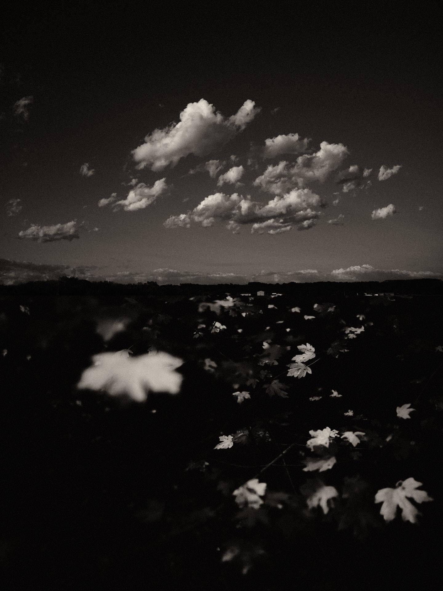 Díptico Gaia 103 - Edición limitada en blanco y negro Impresión fotográfica