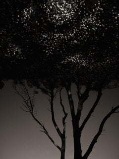 Gaia Diptychon 106 – Schwarz-Weiß-Fotodruck in limitierter Auflage