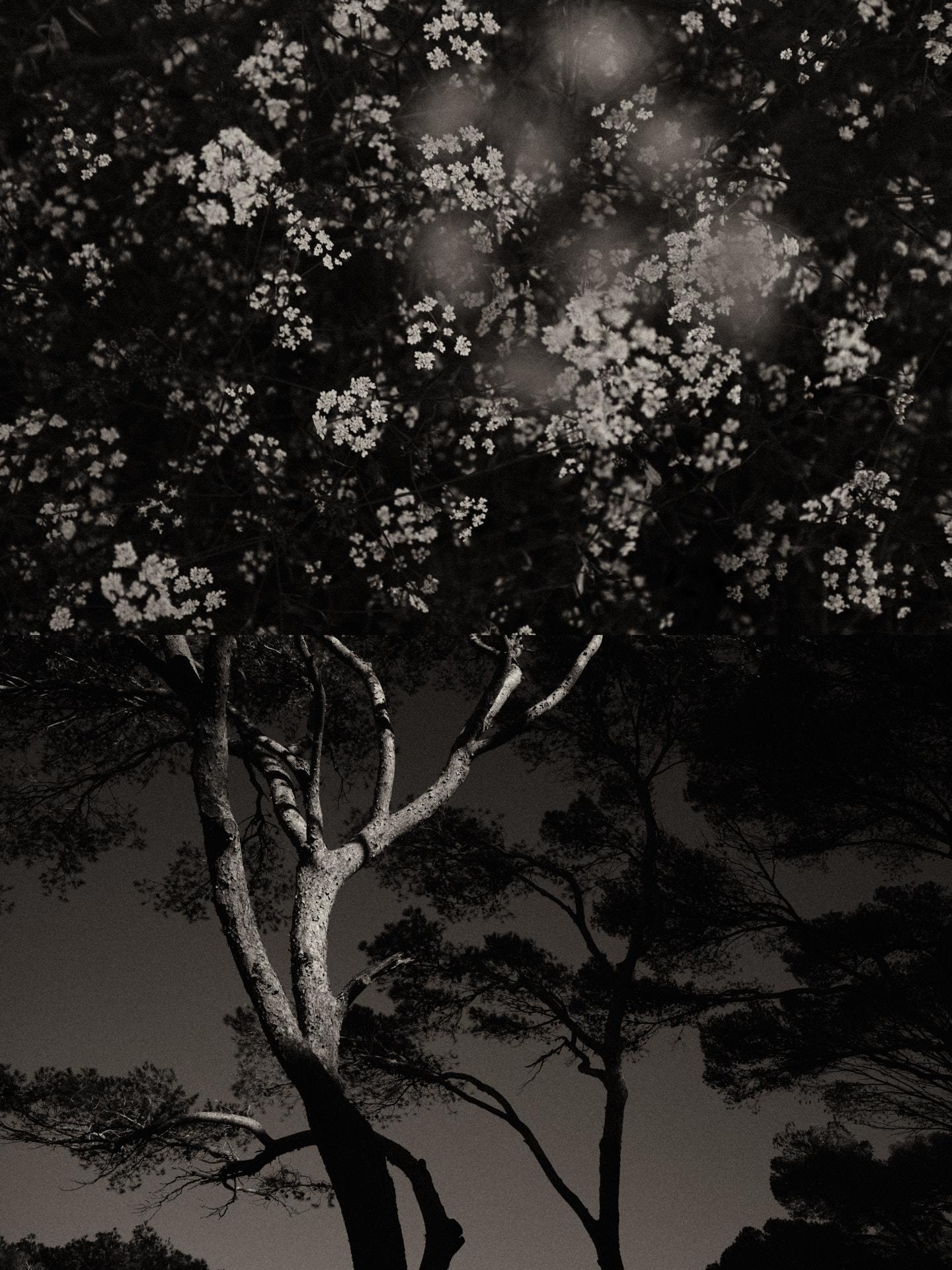 Jaume Llorens Black and White Photograph - Gaia Diptych 108 - Black and White European Natural Environment Photograph