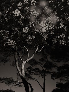 Gaia Diptych 108 - Black and White Limited Edition Photographic print