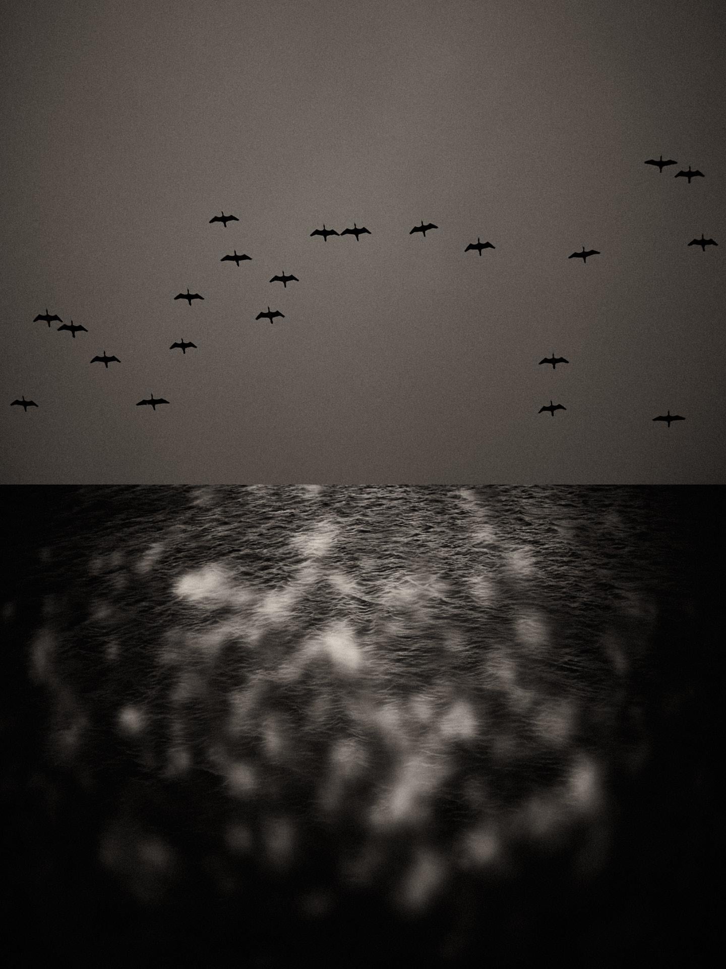 Díptico Gaia 114 - Edición limitada en blanco y negro Impresión fotográfica